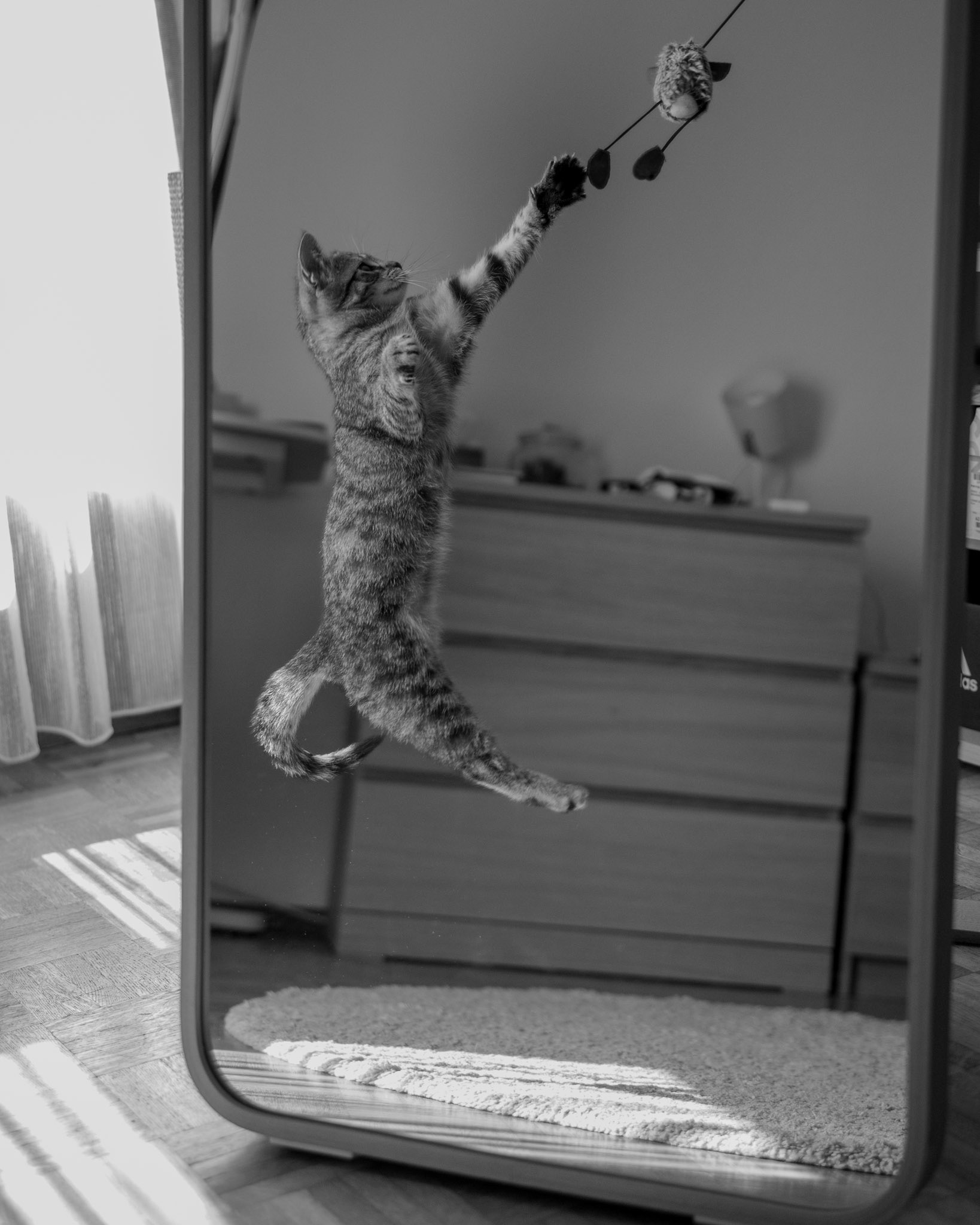 Gordola, Switzerland - shot on Canon R6 (2023)