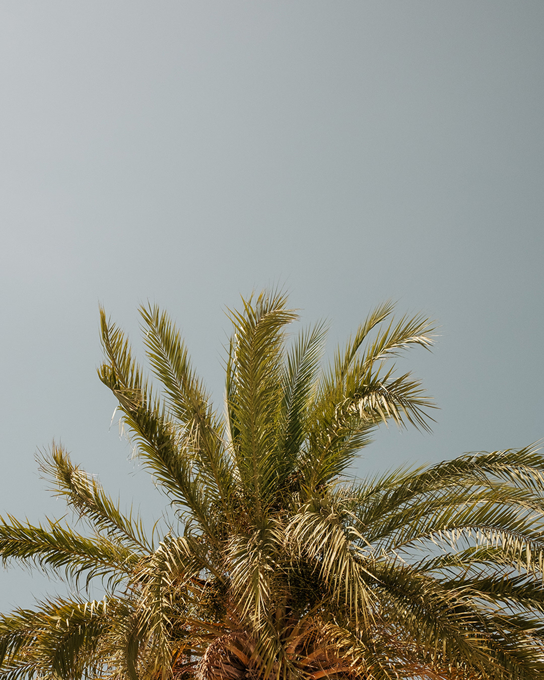 Ibiza, España - shot on Fujifilm x100v (2025)