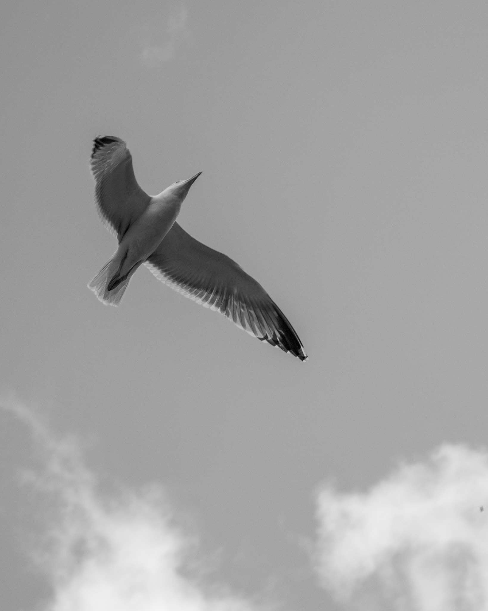 Roma, Italia - shot on Canon 2000d (2022)