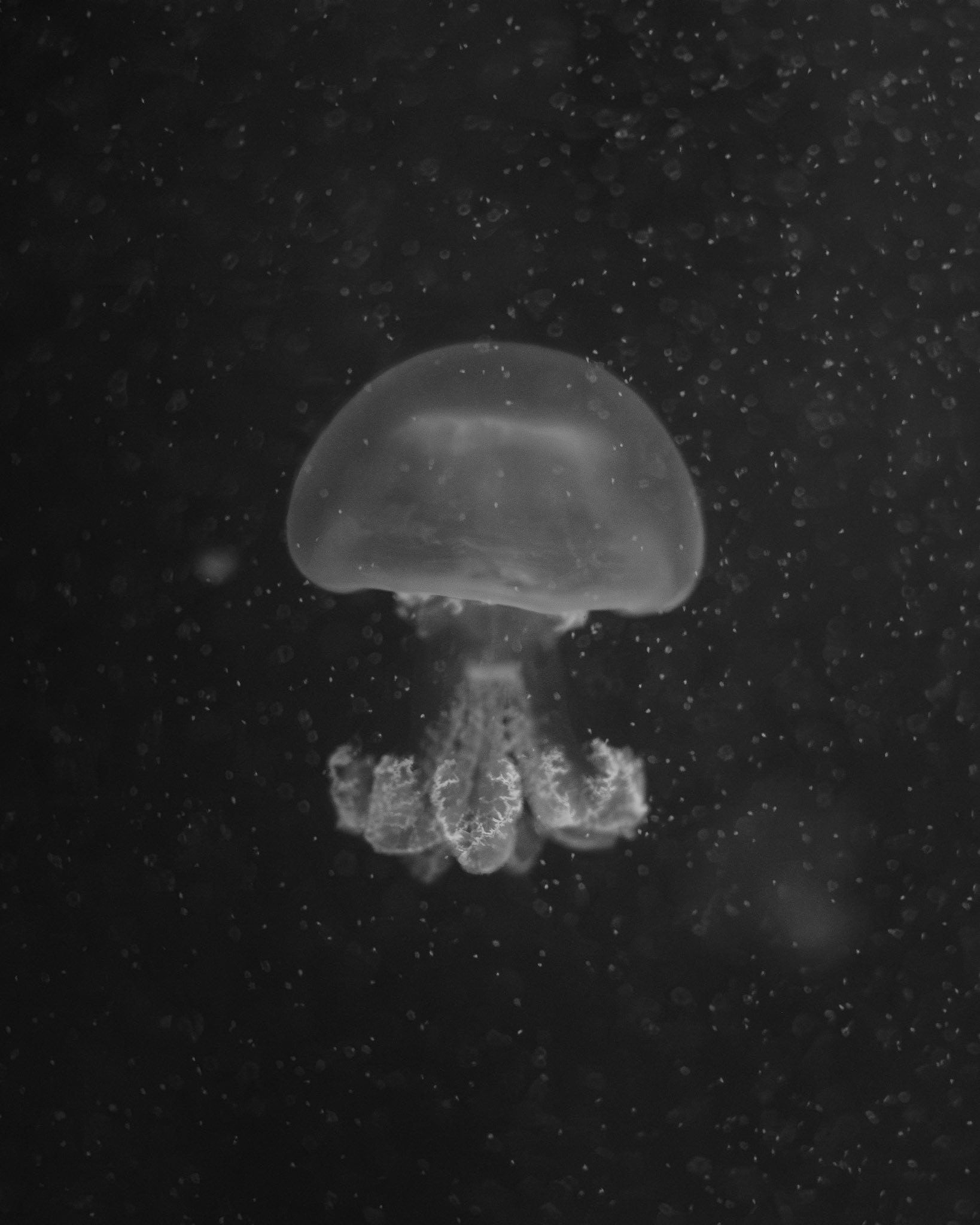 Valencia, España - shot on Fujifilm x100v (2024)