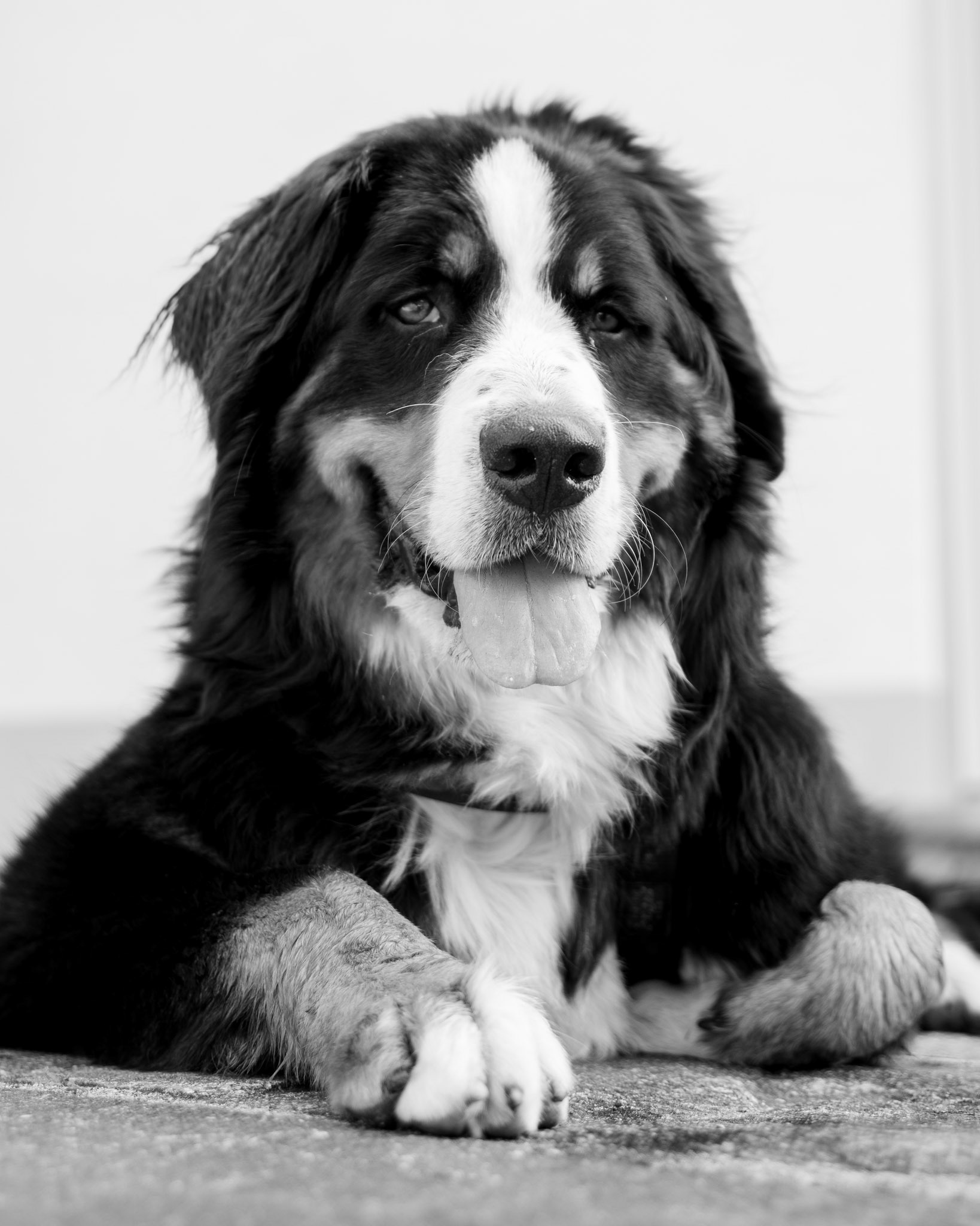 Mergoscia, Switzerland - shot on Canon R6 (2023)