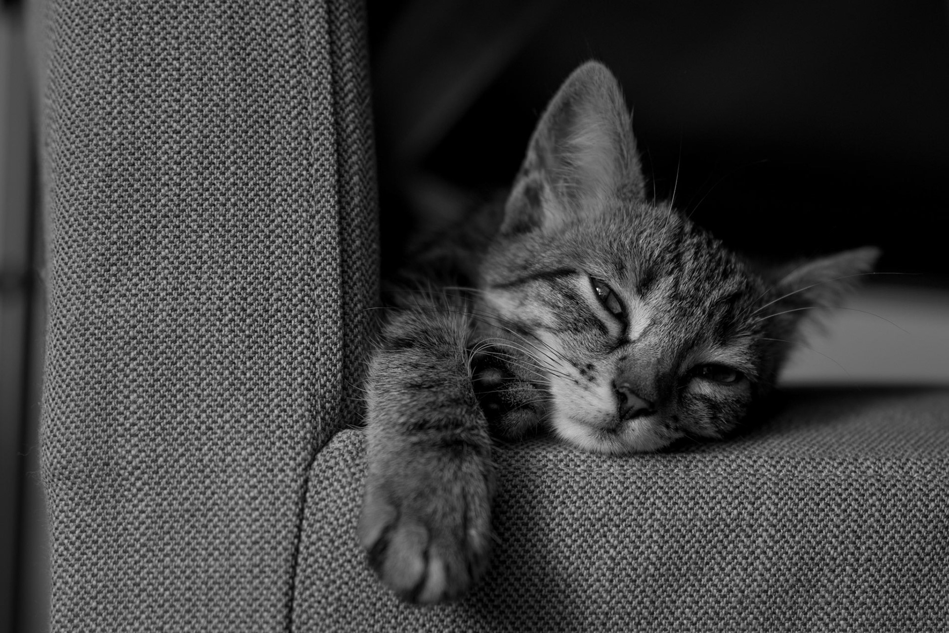 Gordola, Switzerland - shot on Canon R6 (2023)