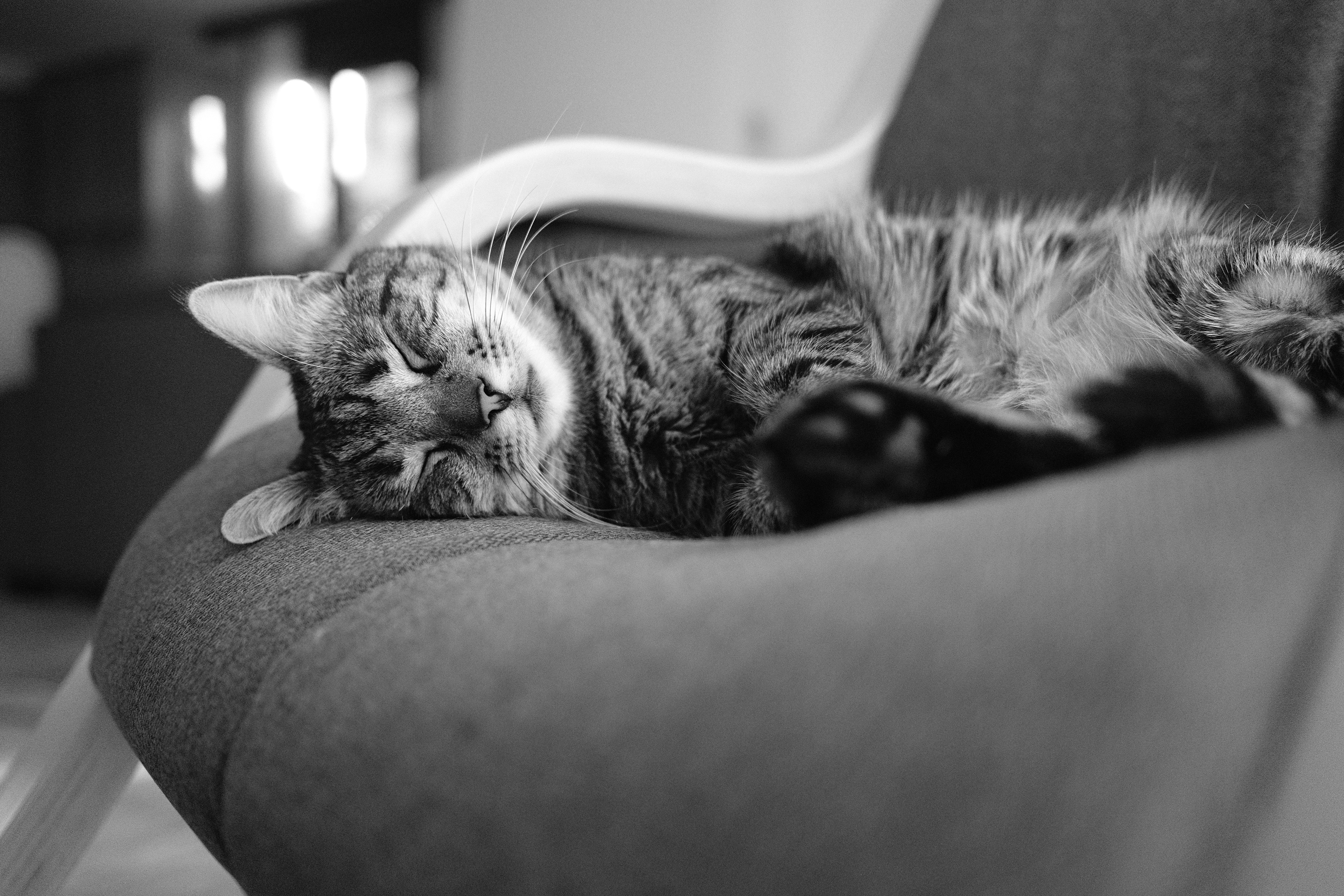 Gordola, Switzerland - shot on Fujifilm x100v (2025)