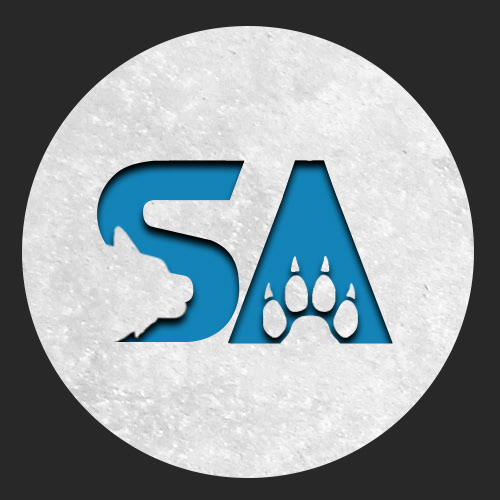 SupraAbstract - Video Game Streamer