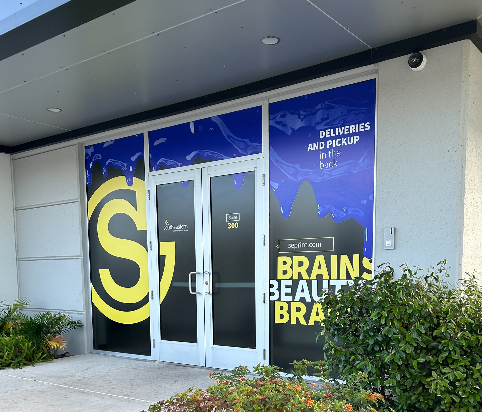 SEP - Window Graphics