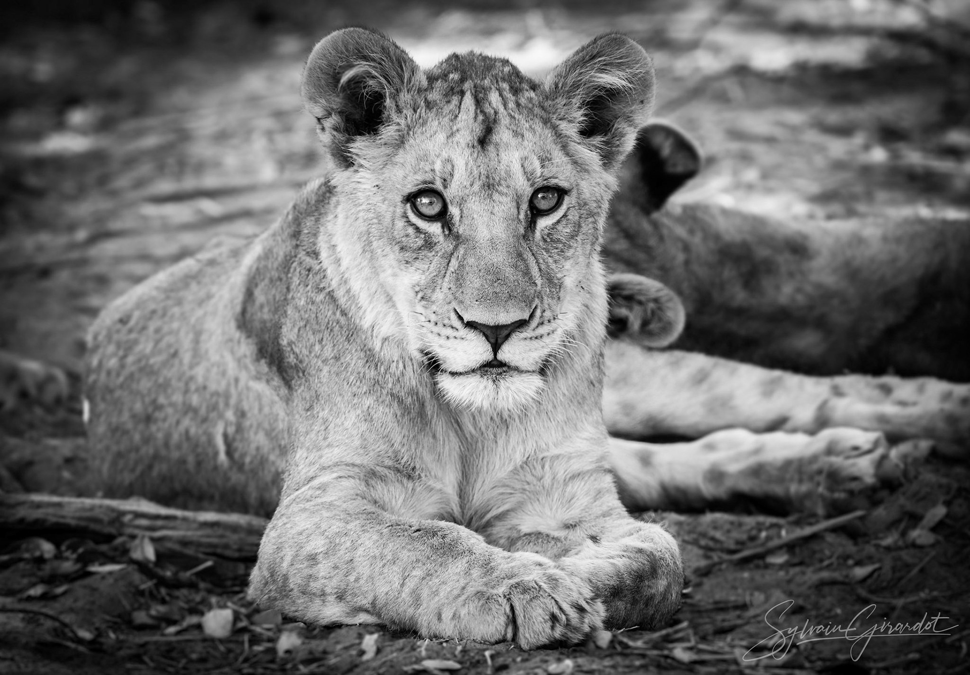 Botswana