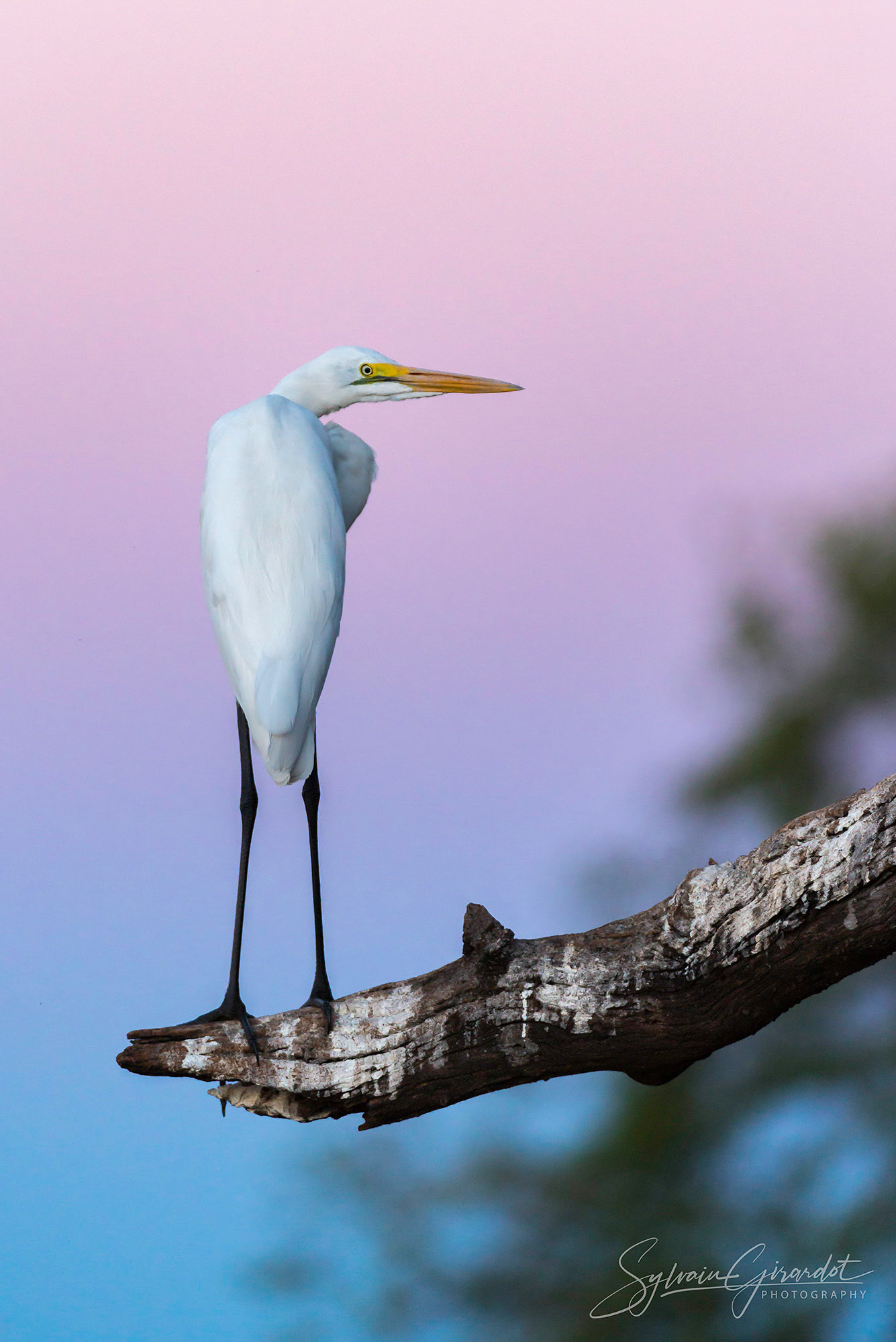 Botswana