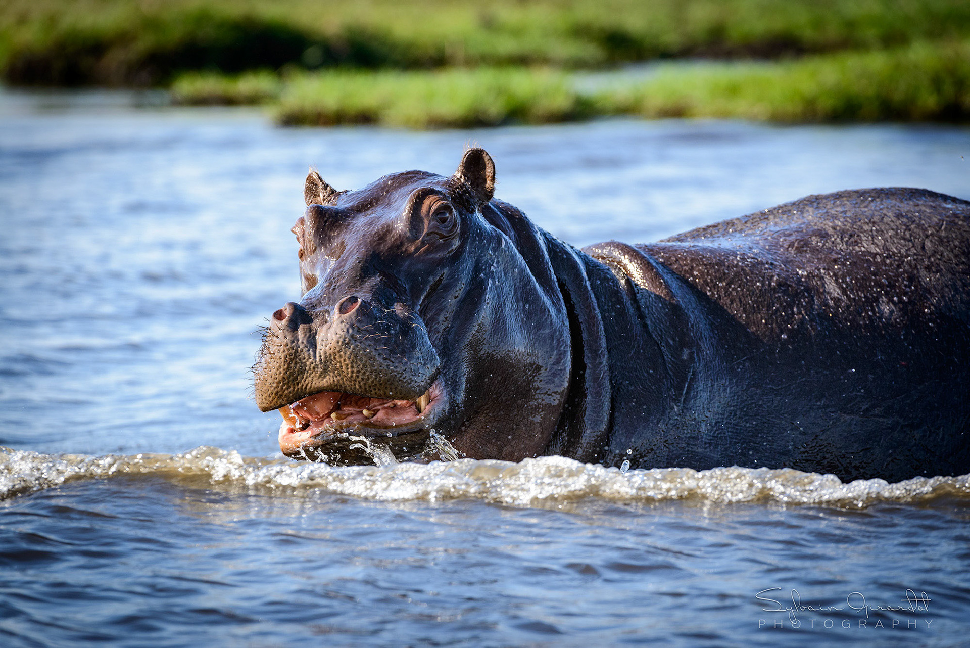 Botswana
