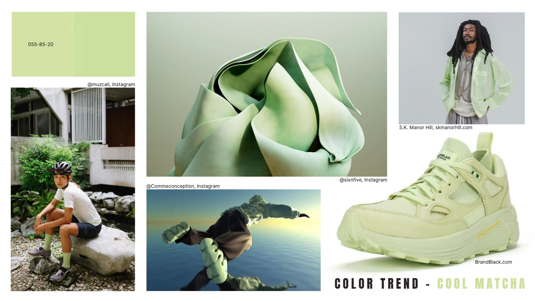 BrandBlack - Color Trend Analysis