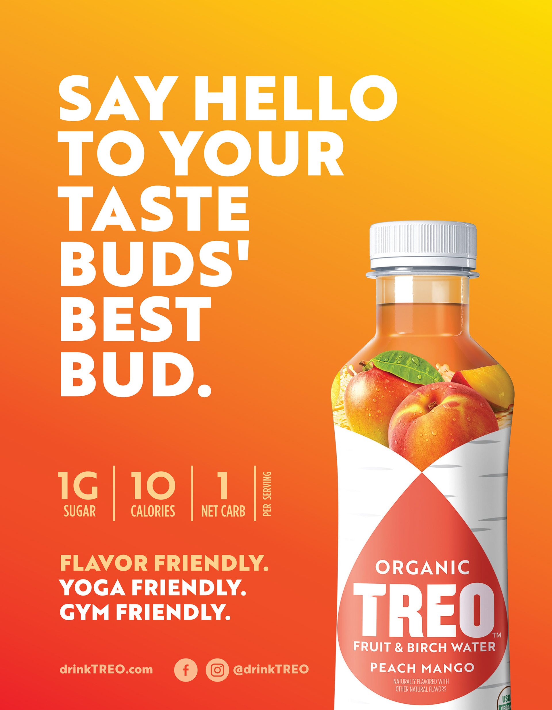 Treo Fruit & Birch Water Drink, Variety Pack, USDA Organic, Non-GMO Project  Verified, Vegan, Gluten-Free, 10 Calories & 1g of Sugar Per Serving, 16 fl