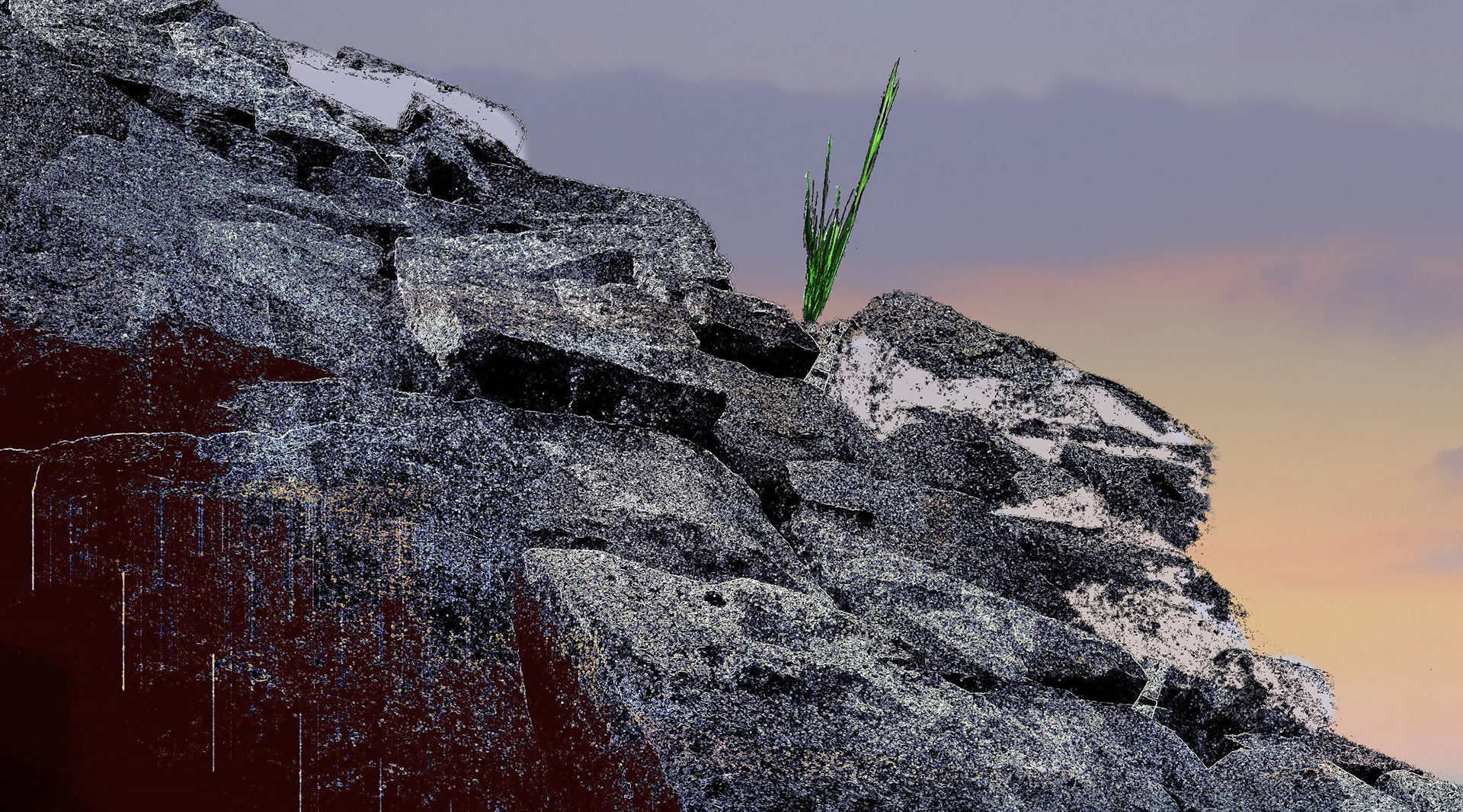 III miejsce - Piotr Broda