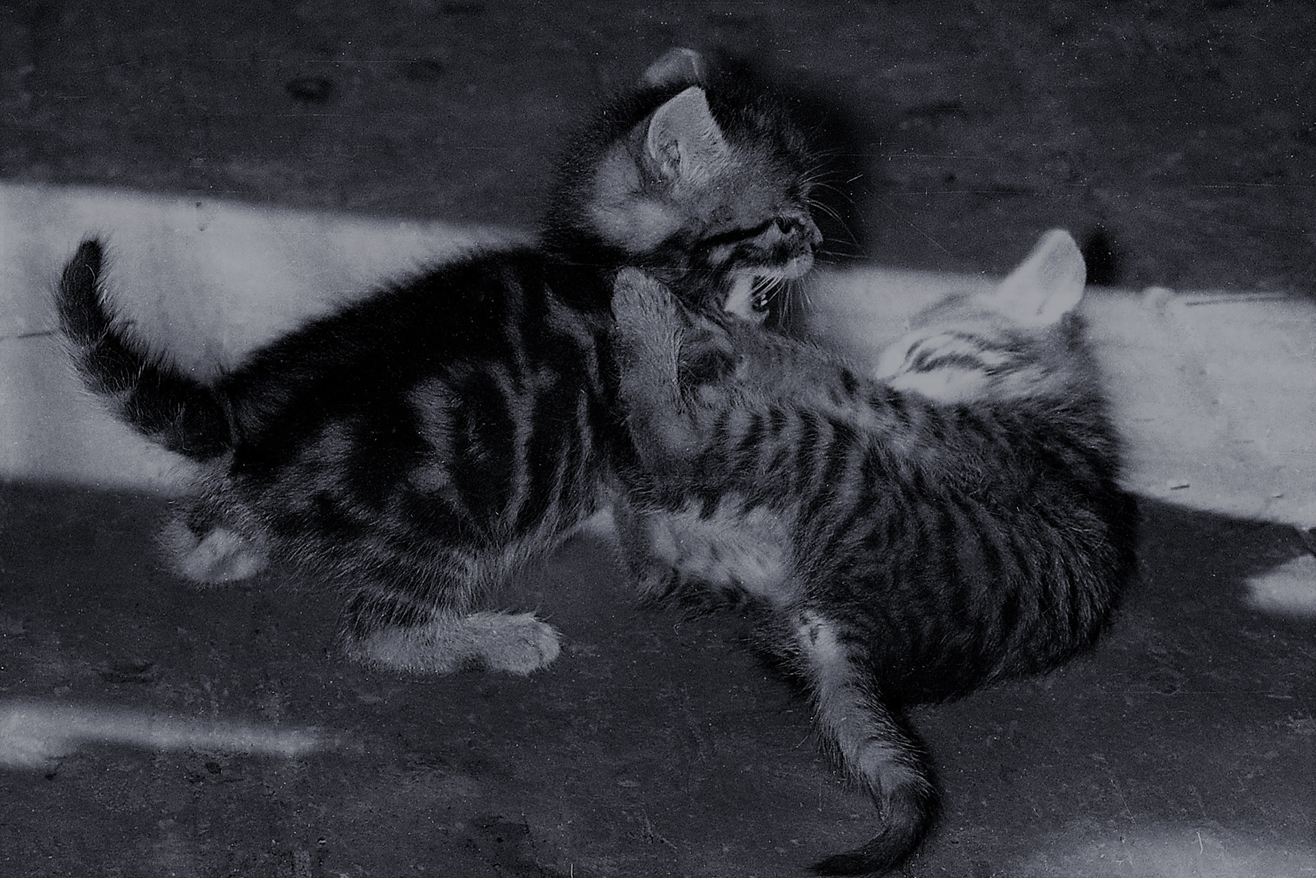 II miejsce - "Energia kinetyczna" - Stefan Chromik