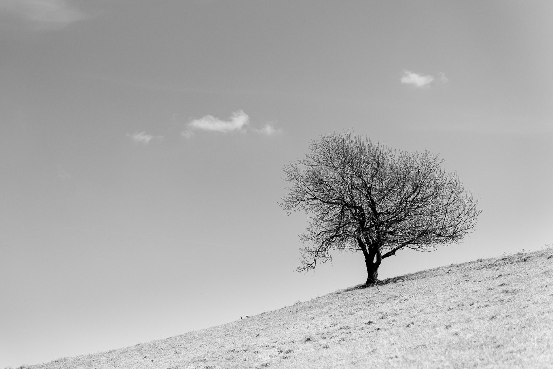 III miejsce - Arkadiusz Juzof