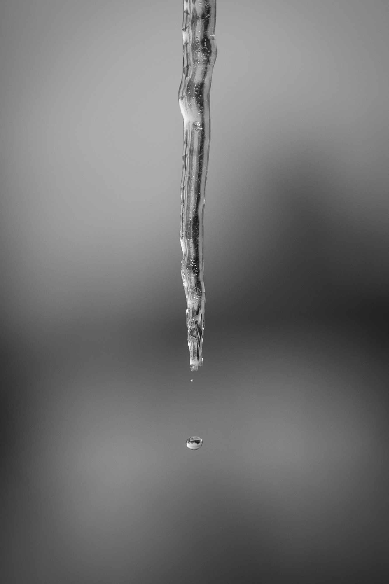 II miejsce - Jan Gach