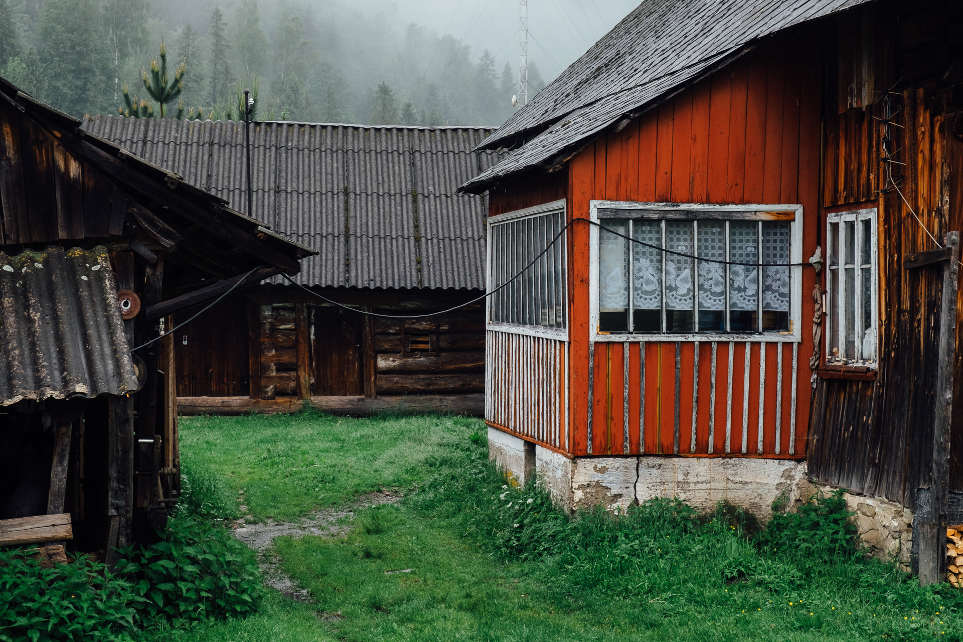 III miejsce - Dariusz Dziadek