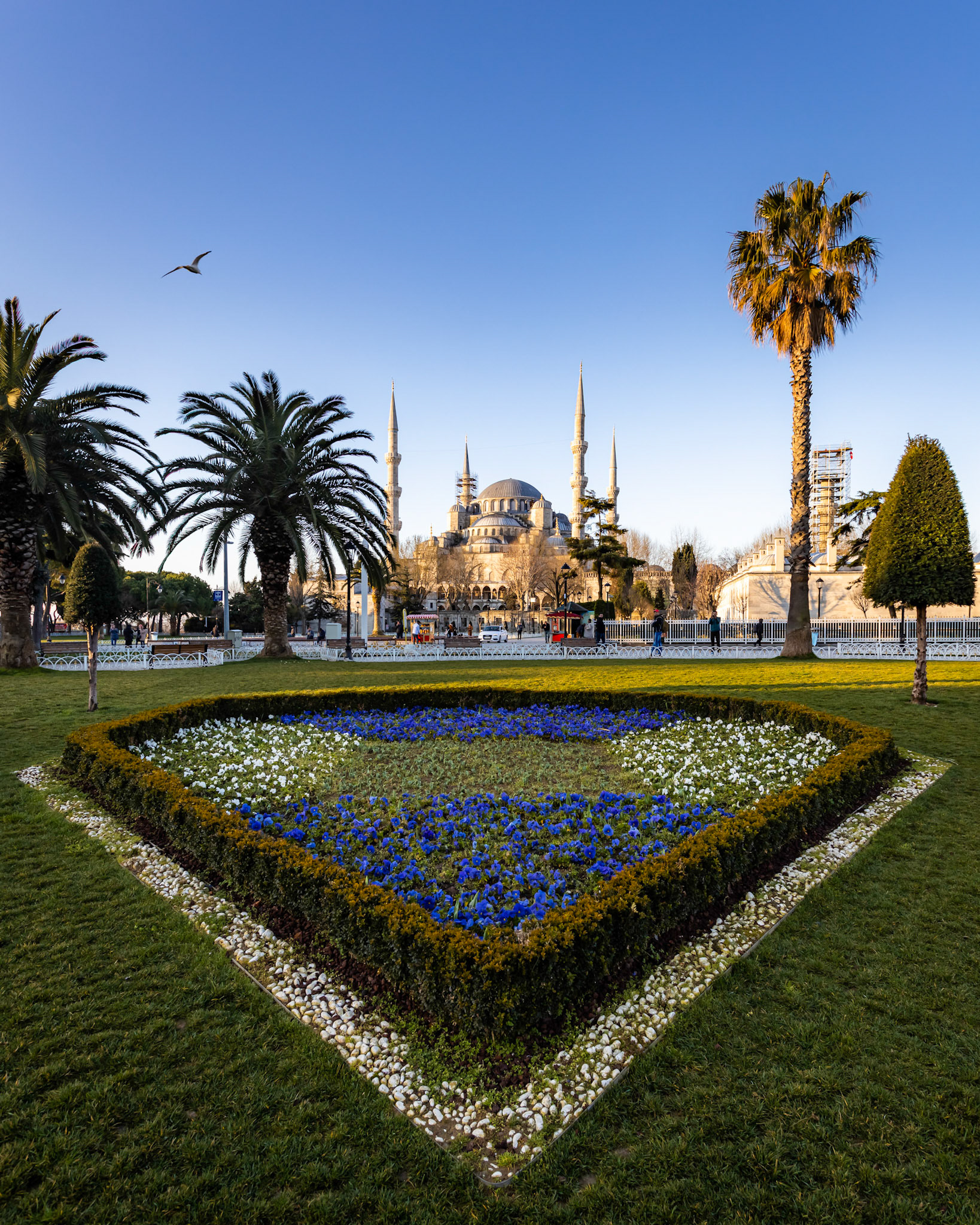 Istanbul, Turkey - March 7 2020: View on the Blue Mosque in Istanbul. Built by Sultan Ahmet I in 1603-1617.