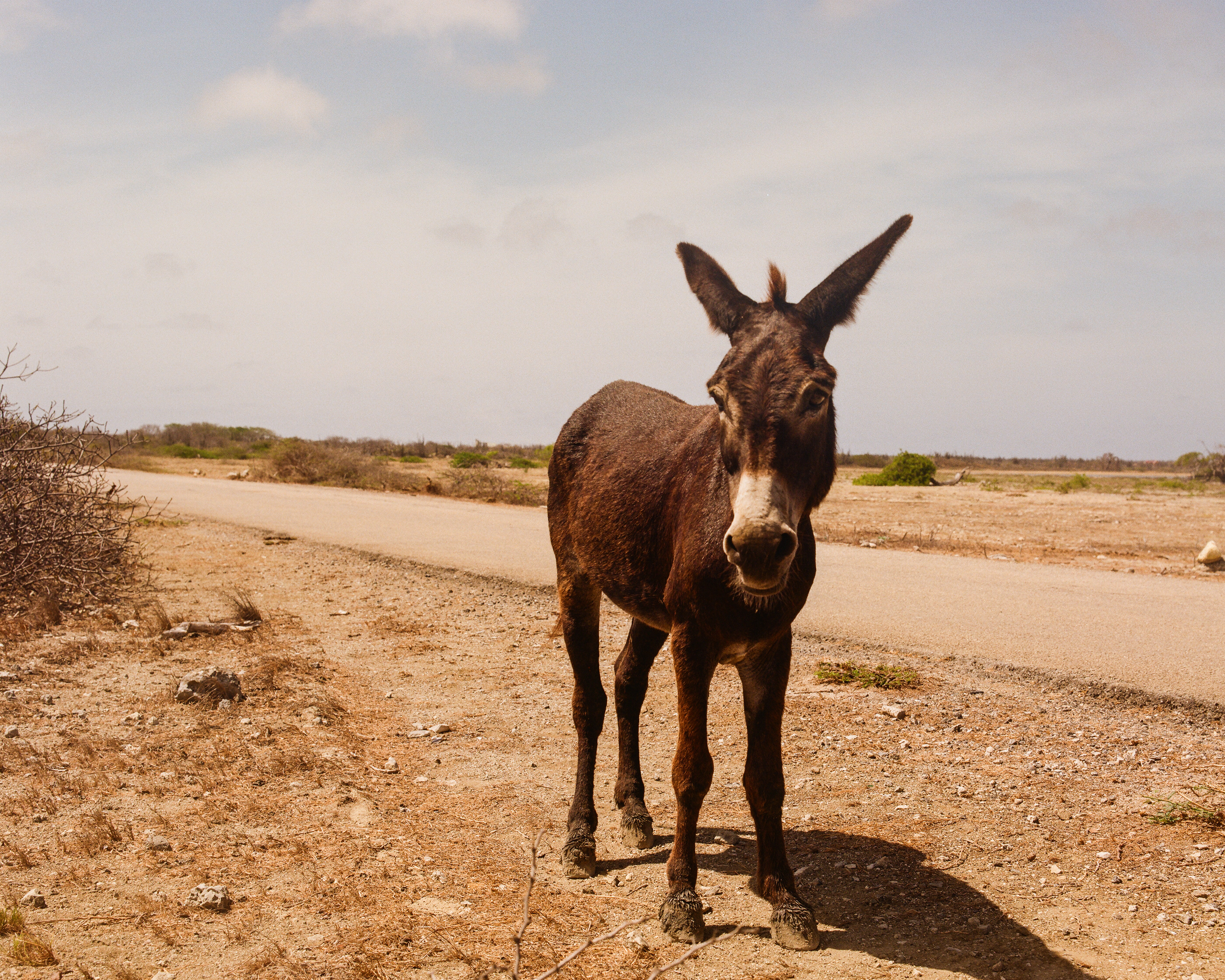 Bonaire, 2024