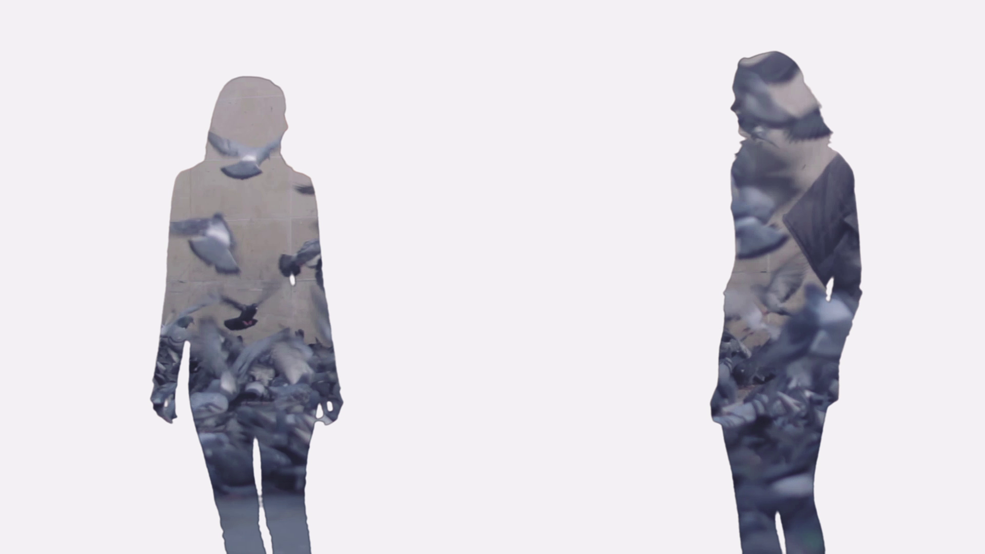 Double exposure video pigeons - Beauty by Jeff Fan