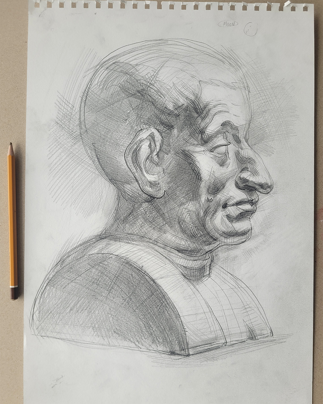 Bust Study