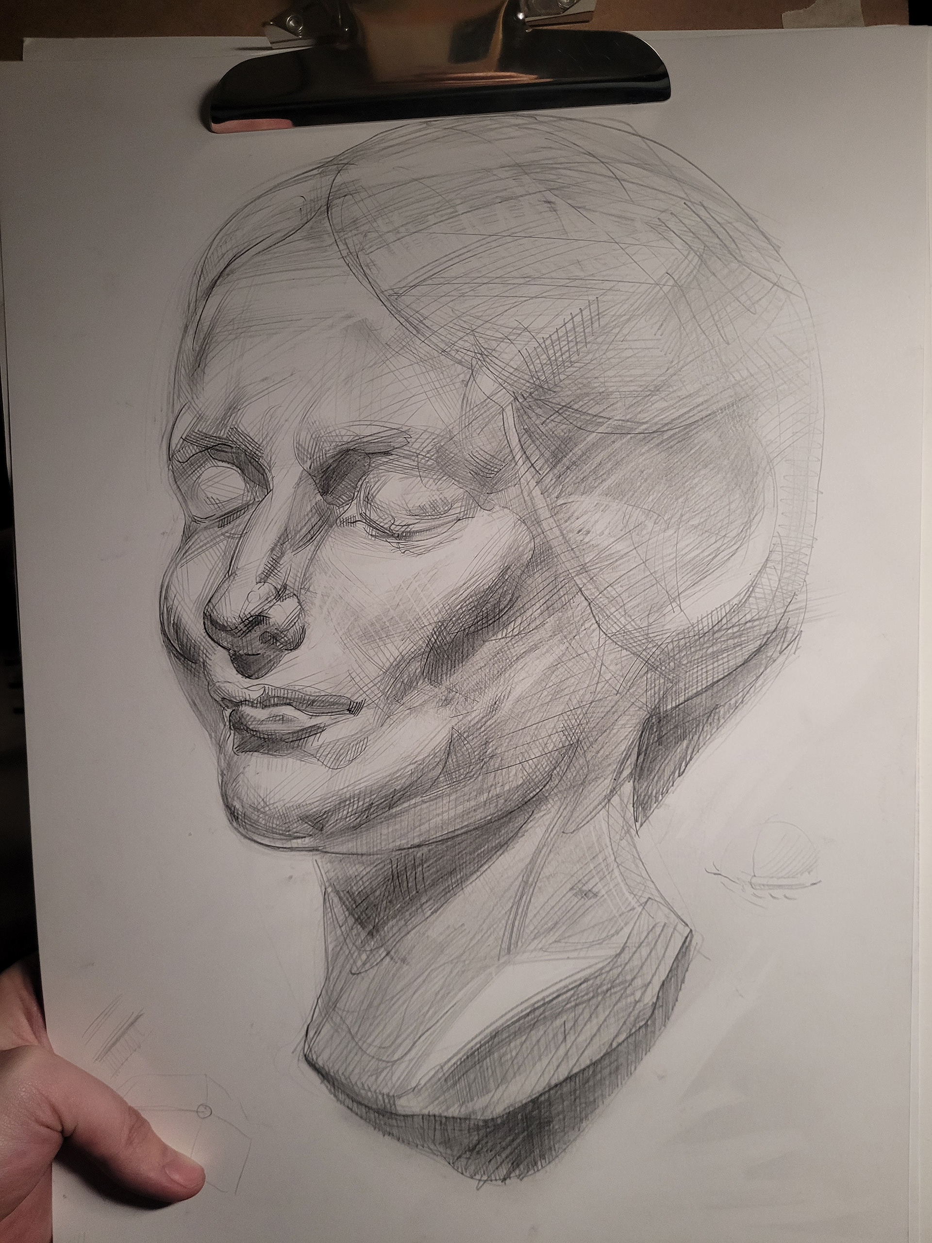 Bust Study