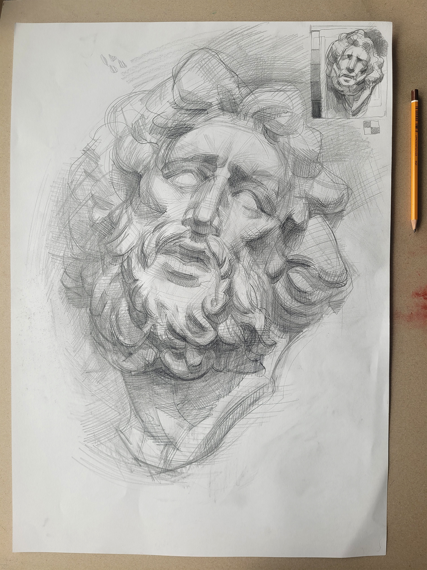 Laocoön Bust Long Study