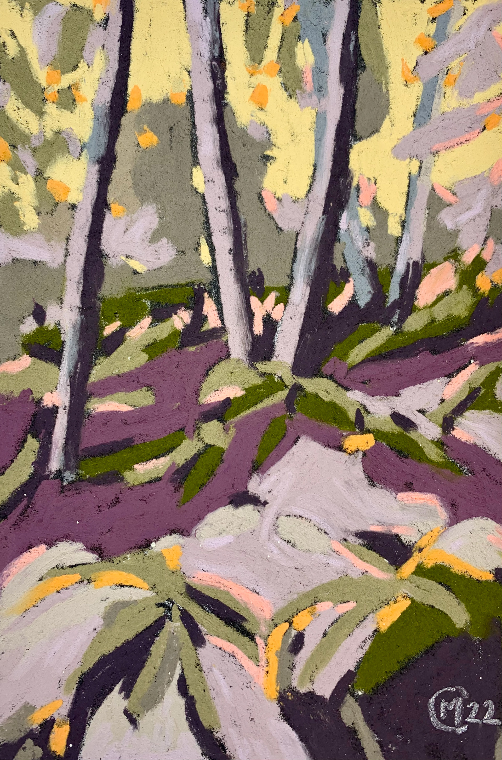 10x15 cm pastel sec