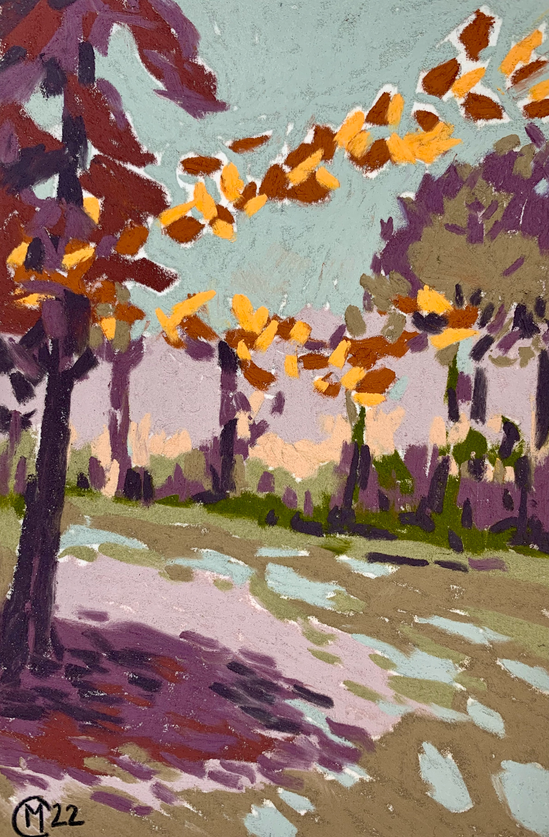 10x15 cm pastel sec