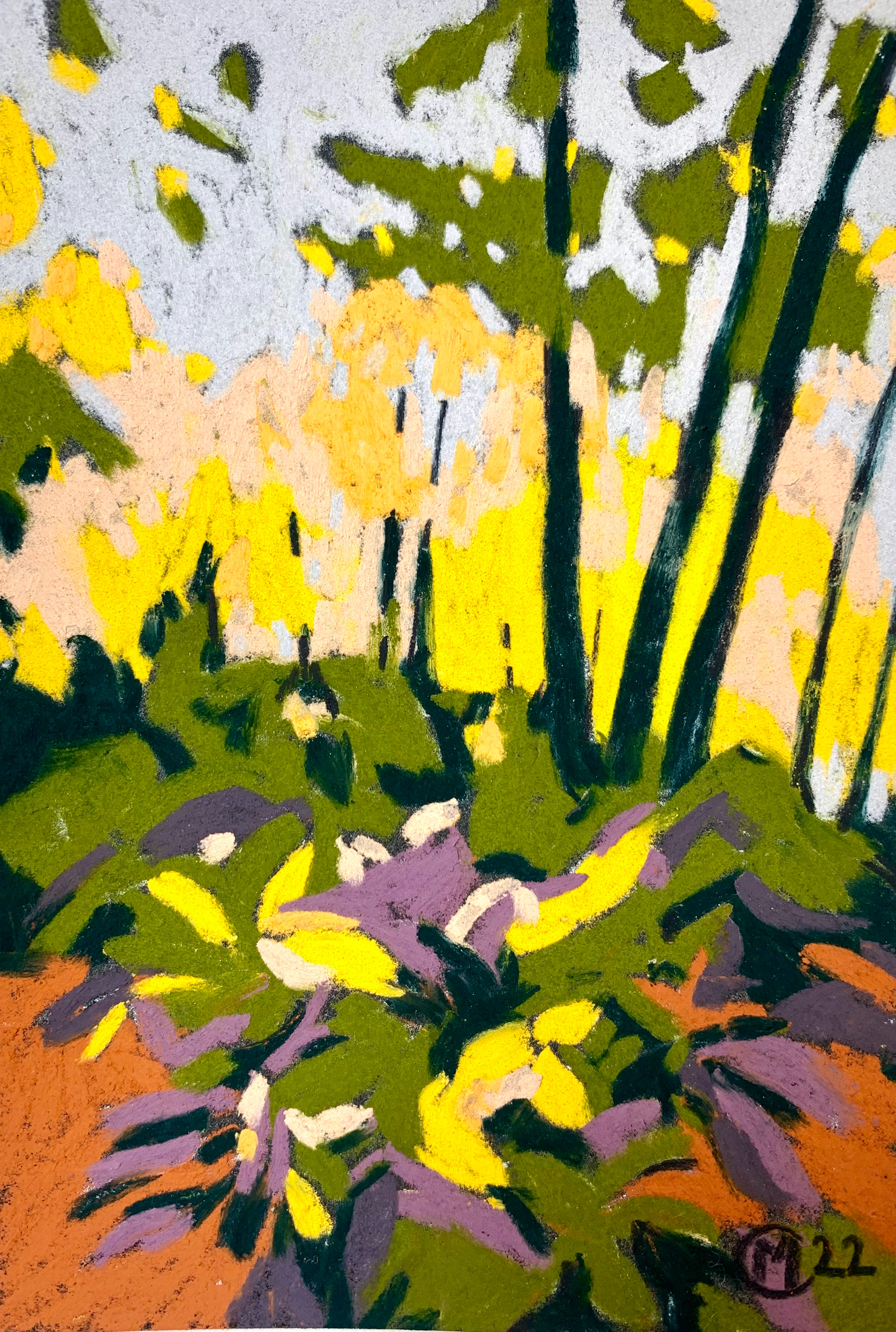 10x15 cm pastel sec