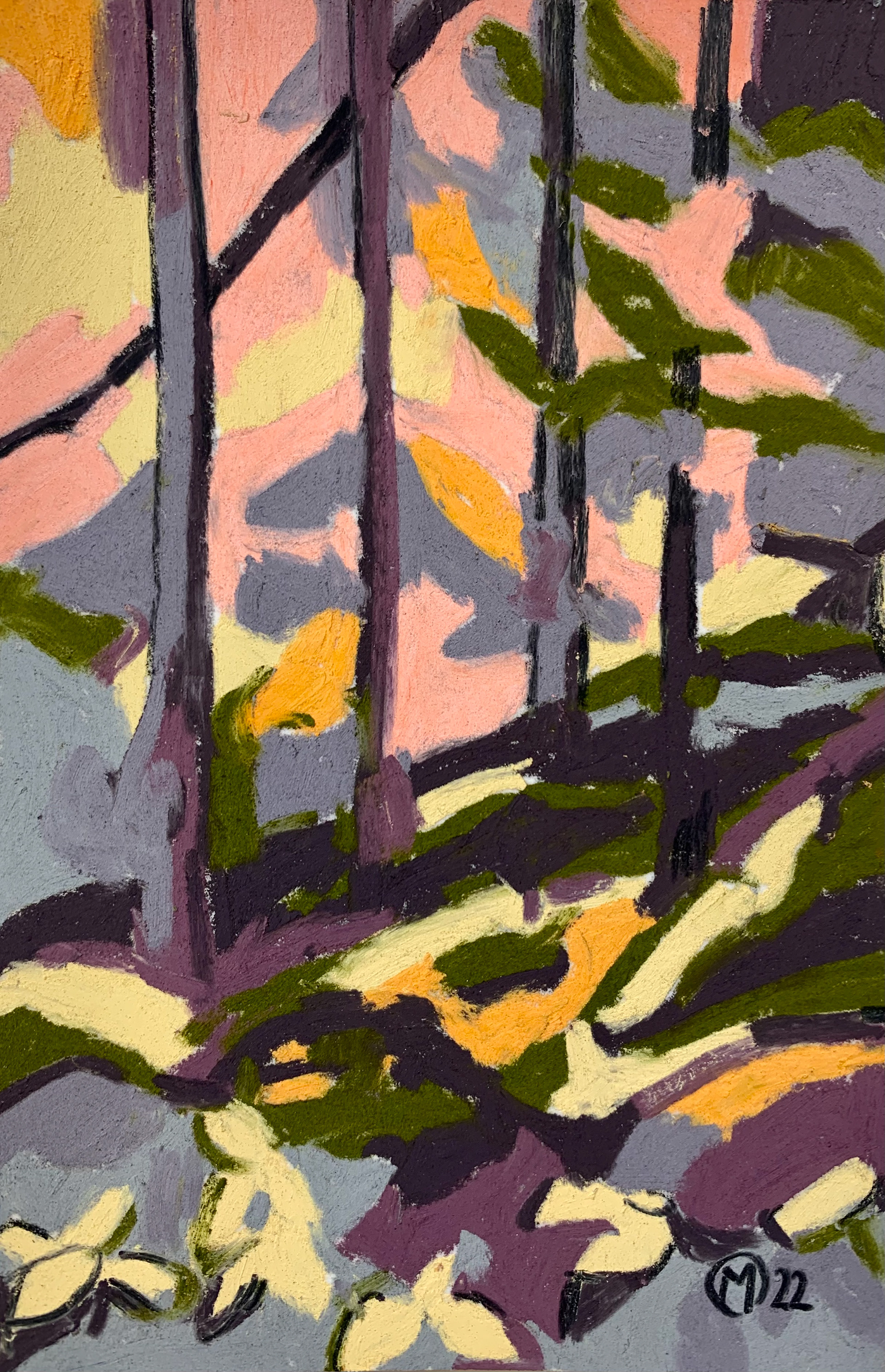10x15 cm pastel sec