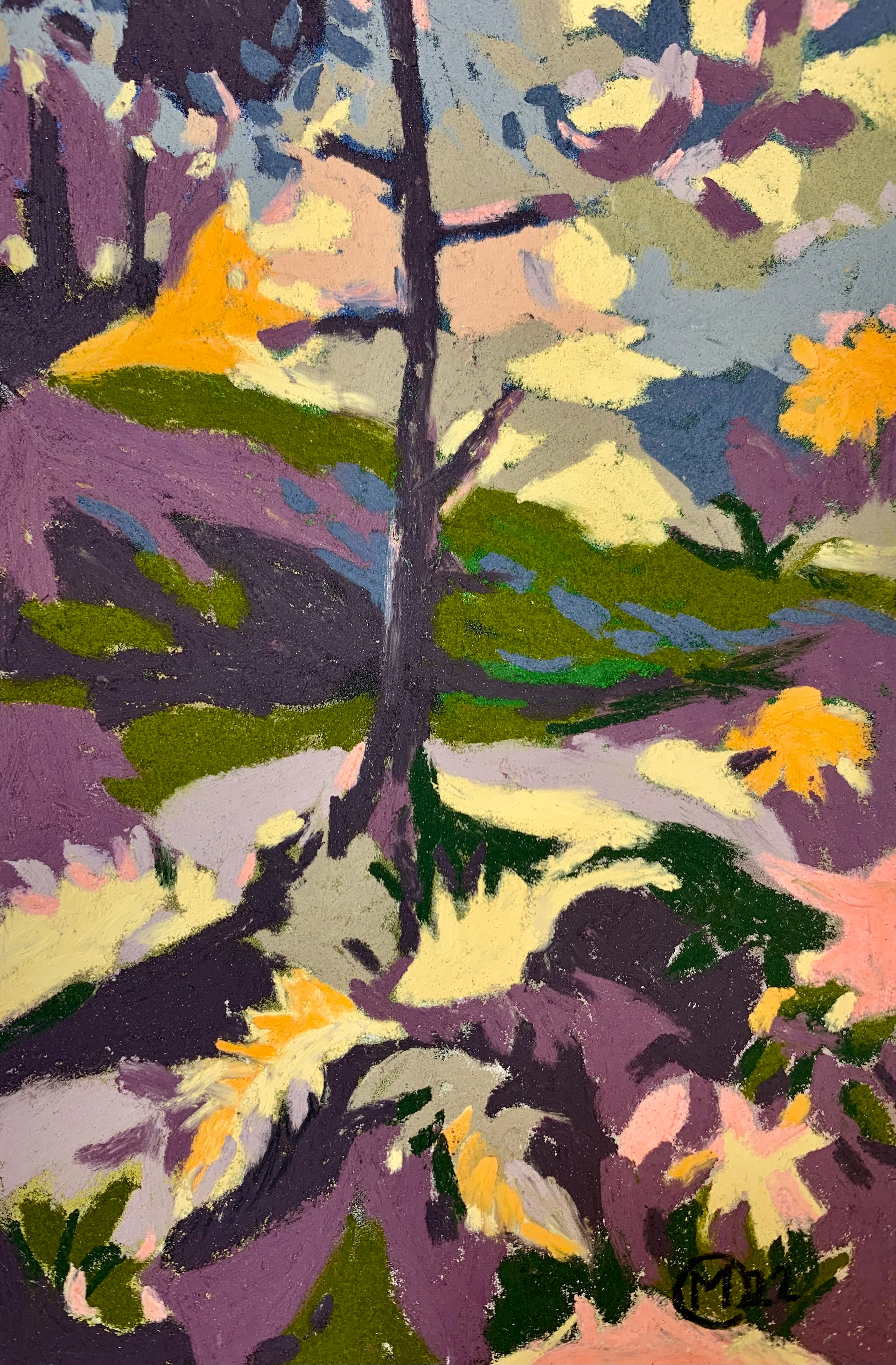 10x15 cm pastel sec