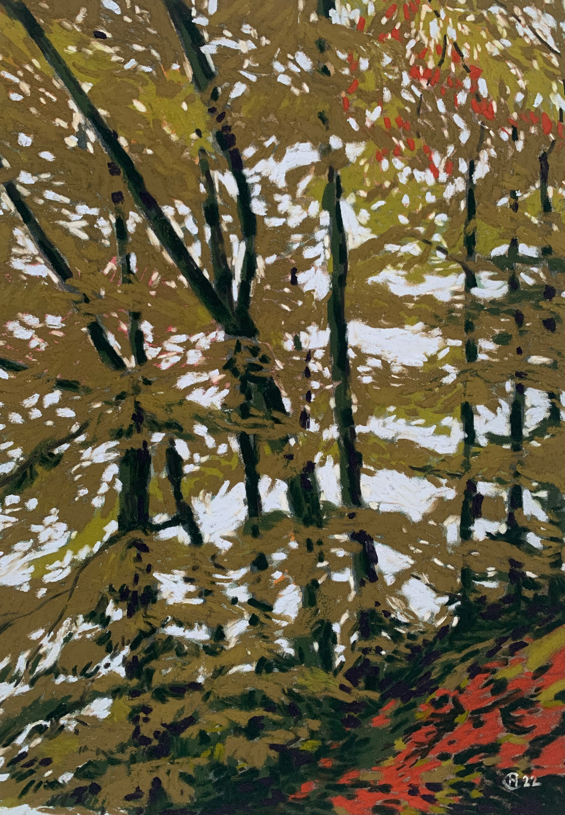 21x30 cm pastel sec sur papier 360g