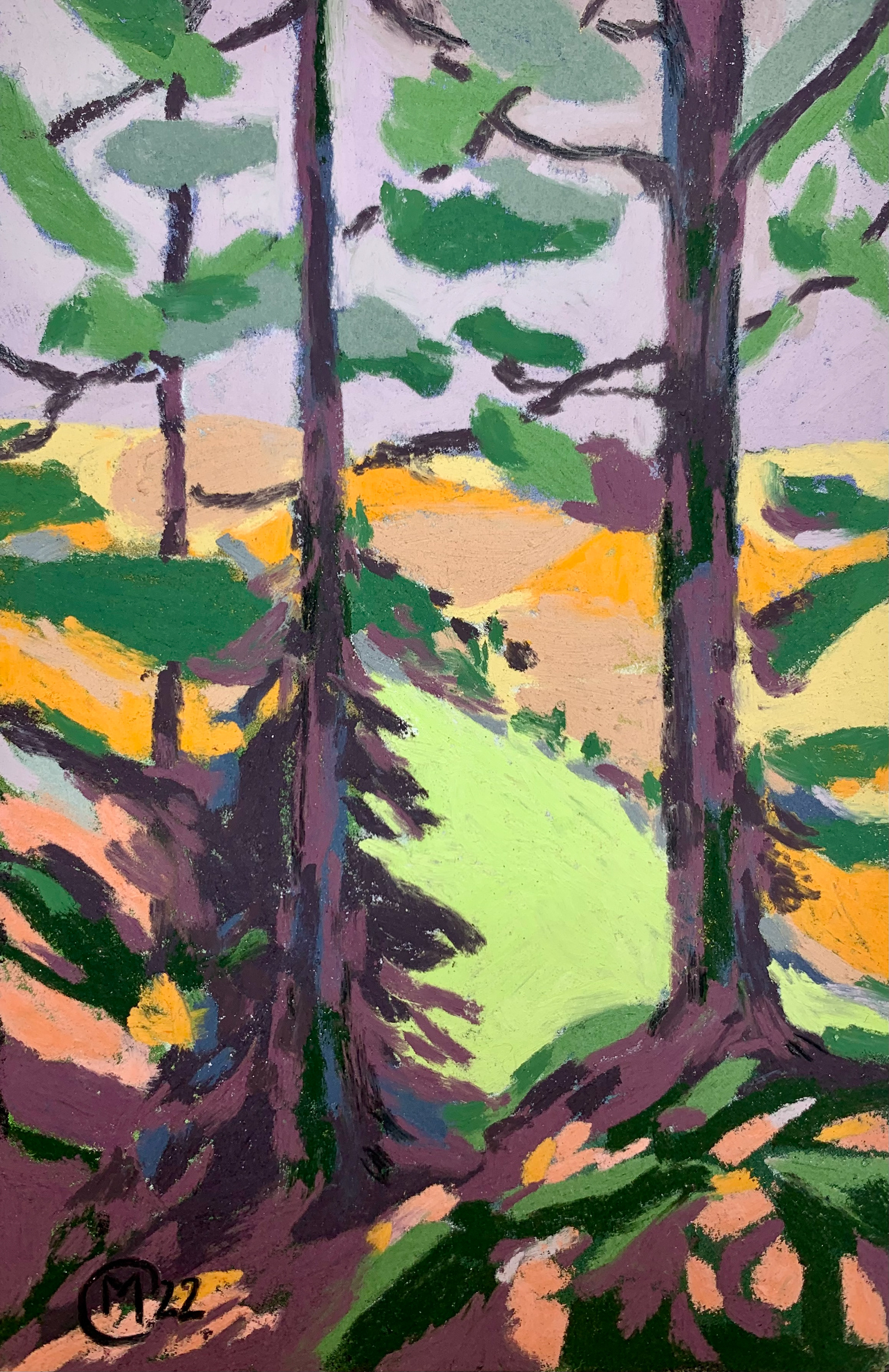 10x15 cm pastel sec