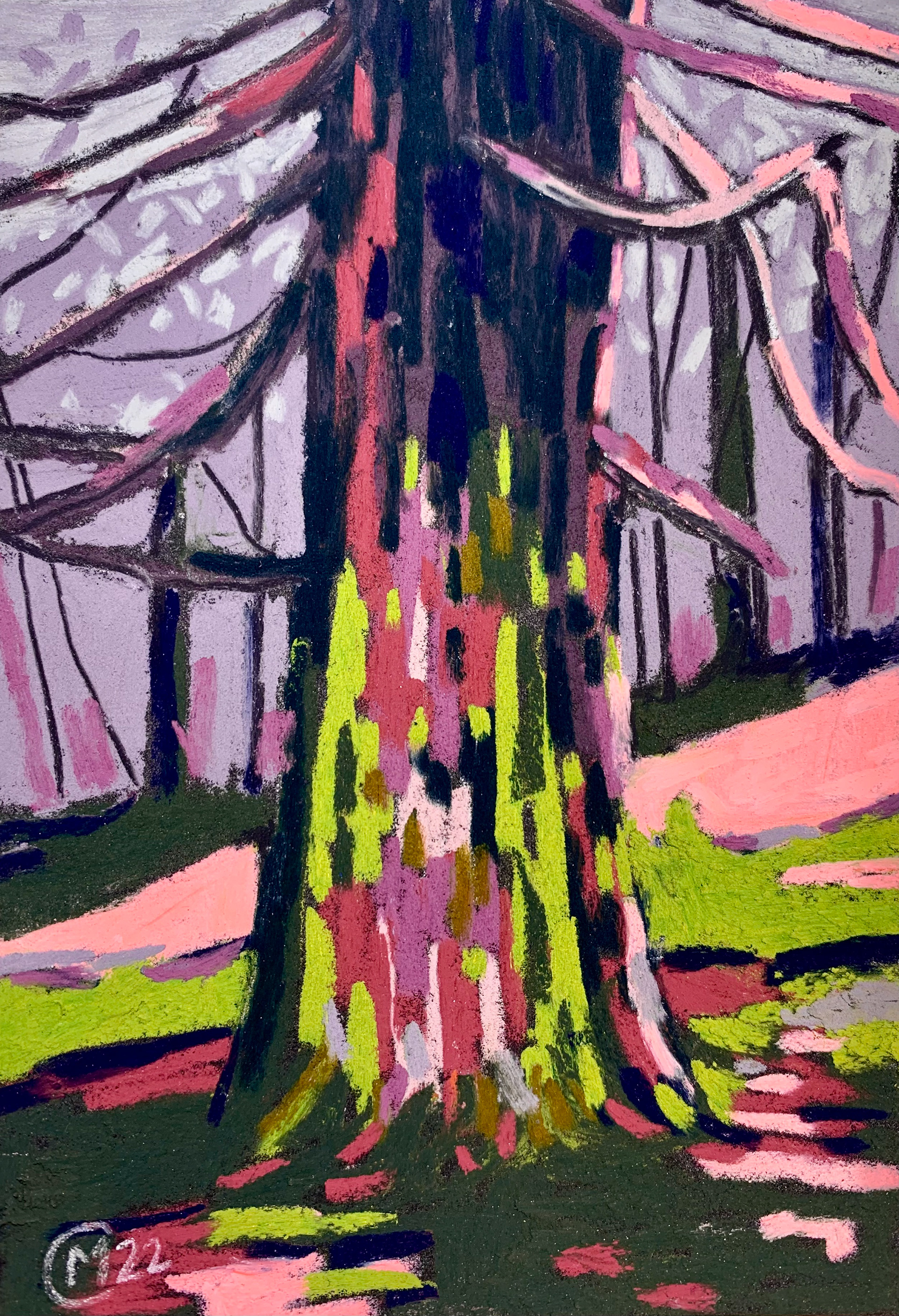 10x15 cm pastel sec