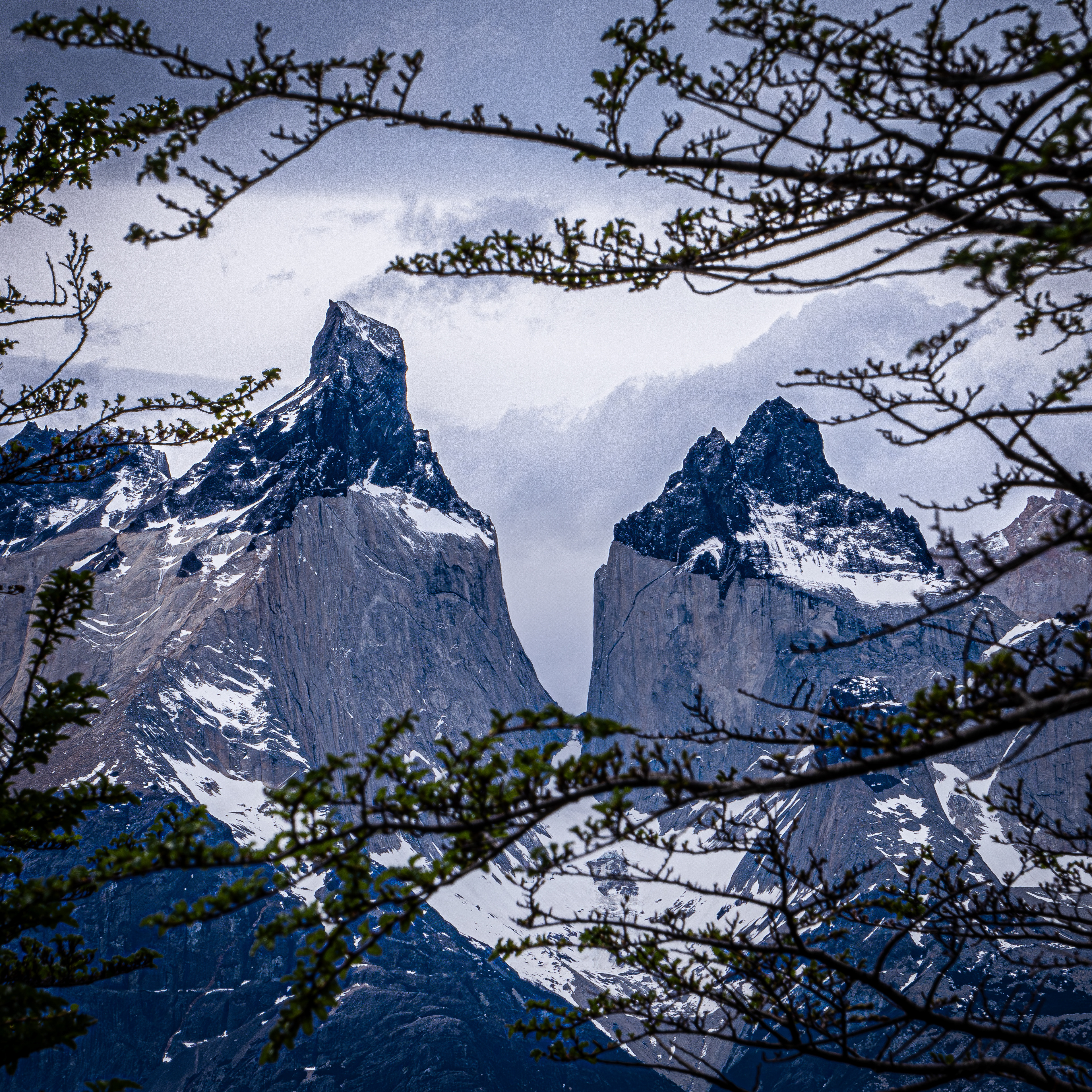 Torres Del Paine 2