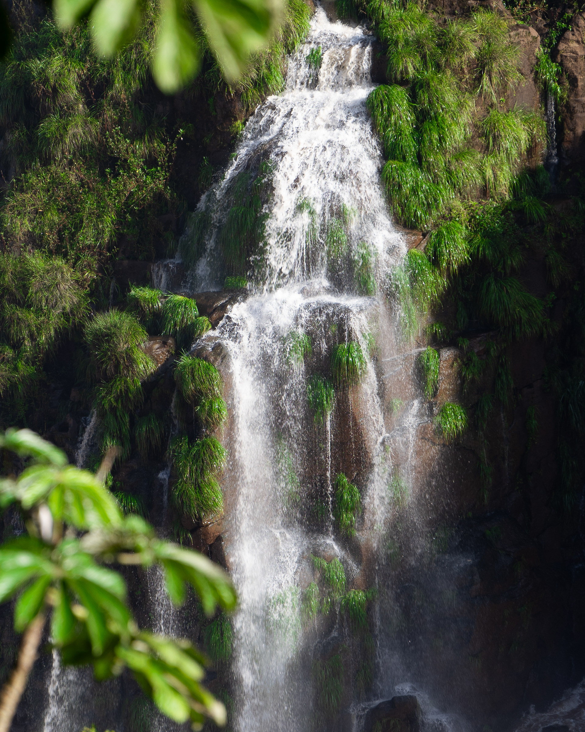 Cataratas 8