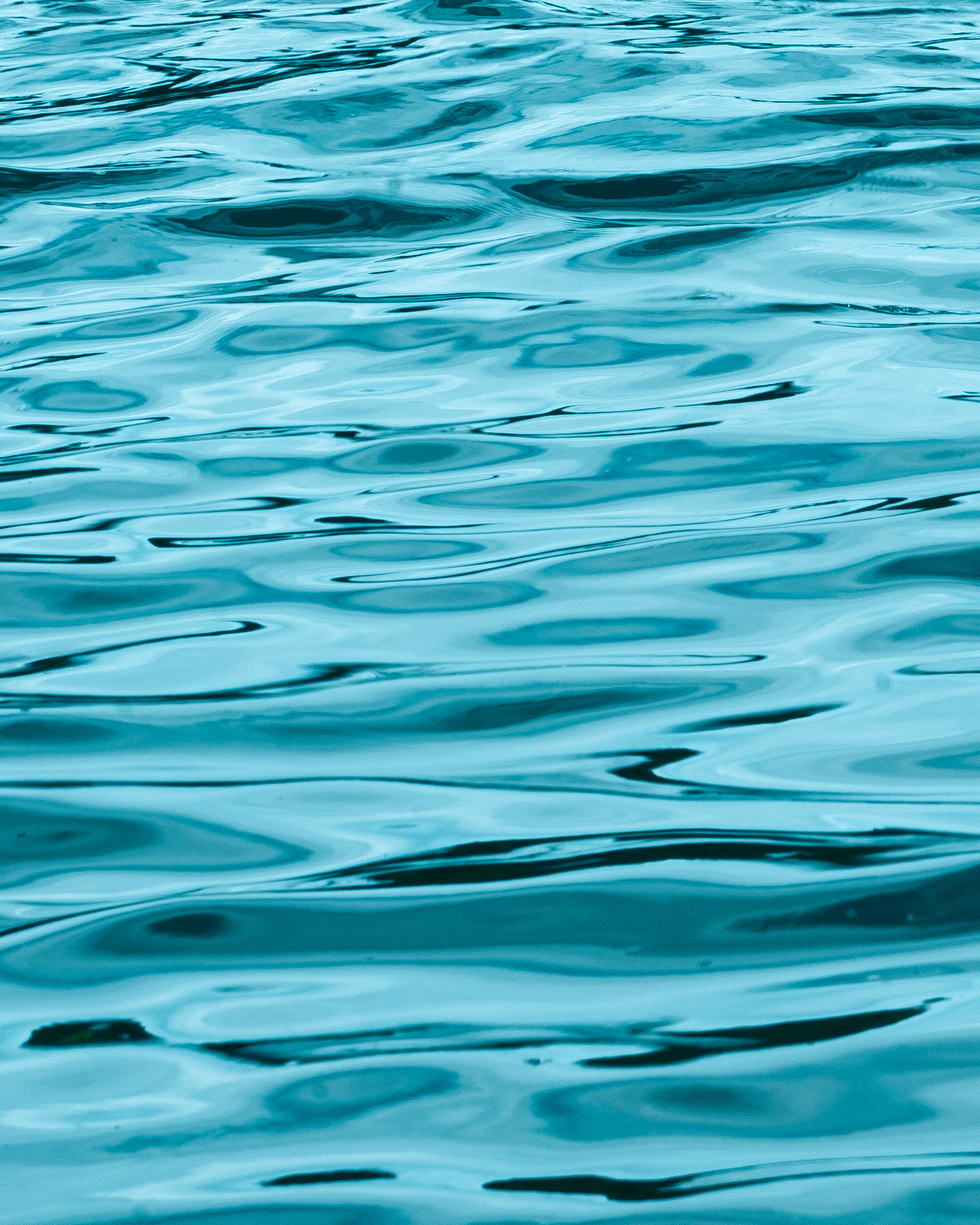 Aqua 2