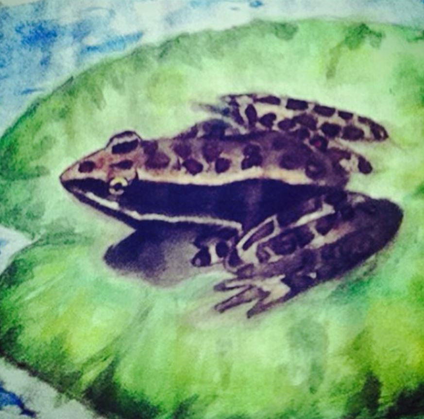 Traditional watercolor work emphasizing light, texture, and blending.