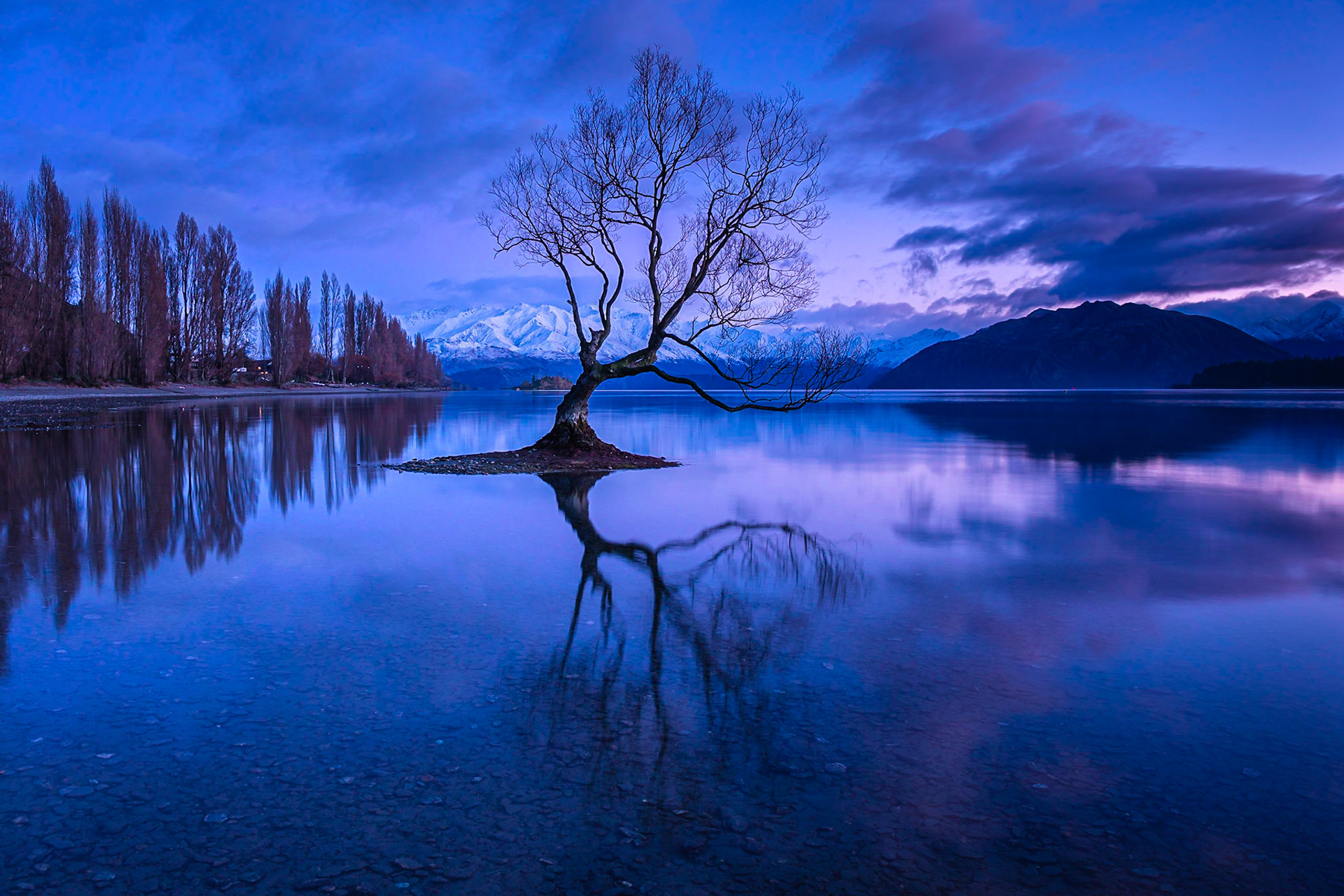 That Wanaka Tree, hhe lonely tree standing in Wanaka Lake, at sunrise, South Island, New Zealand