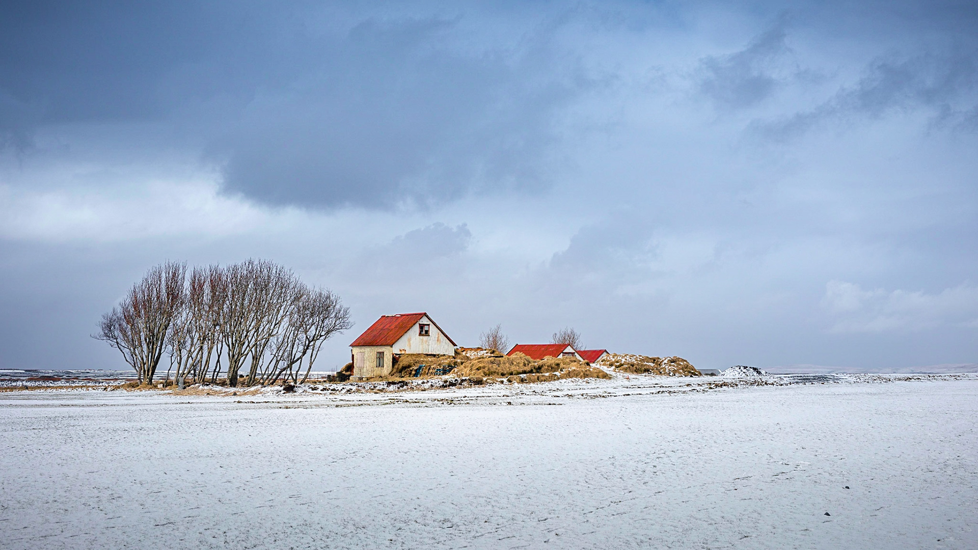 Colorful farm houses with snowy fields, Iceland
