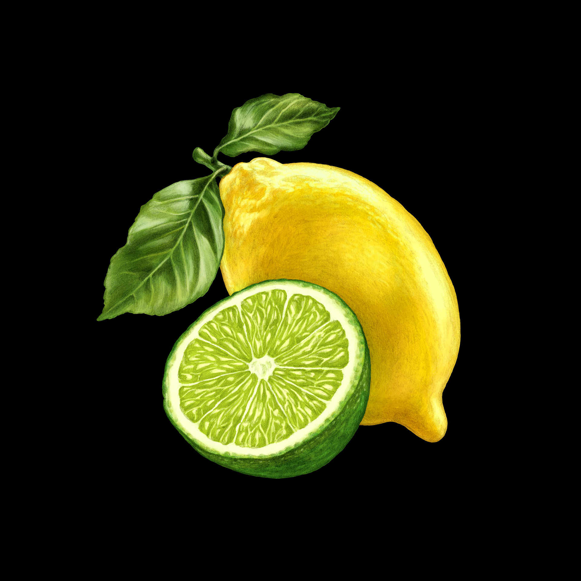 Lemon Lime