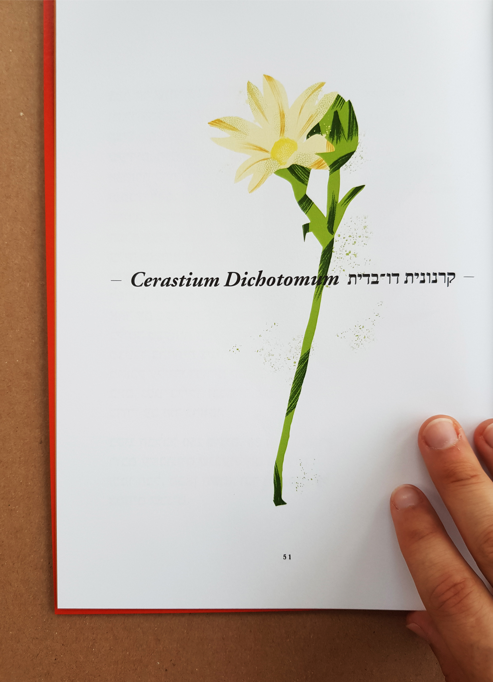 Flower Index, Typography course