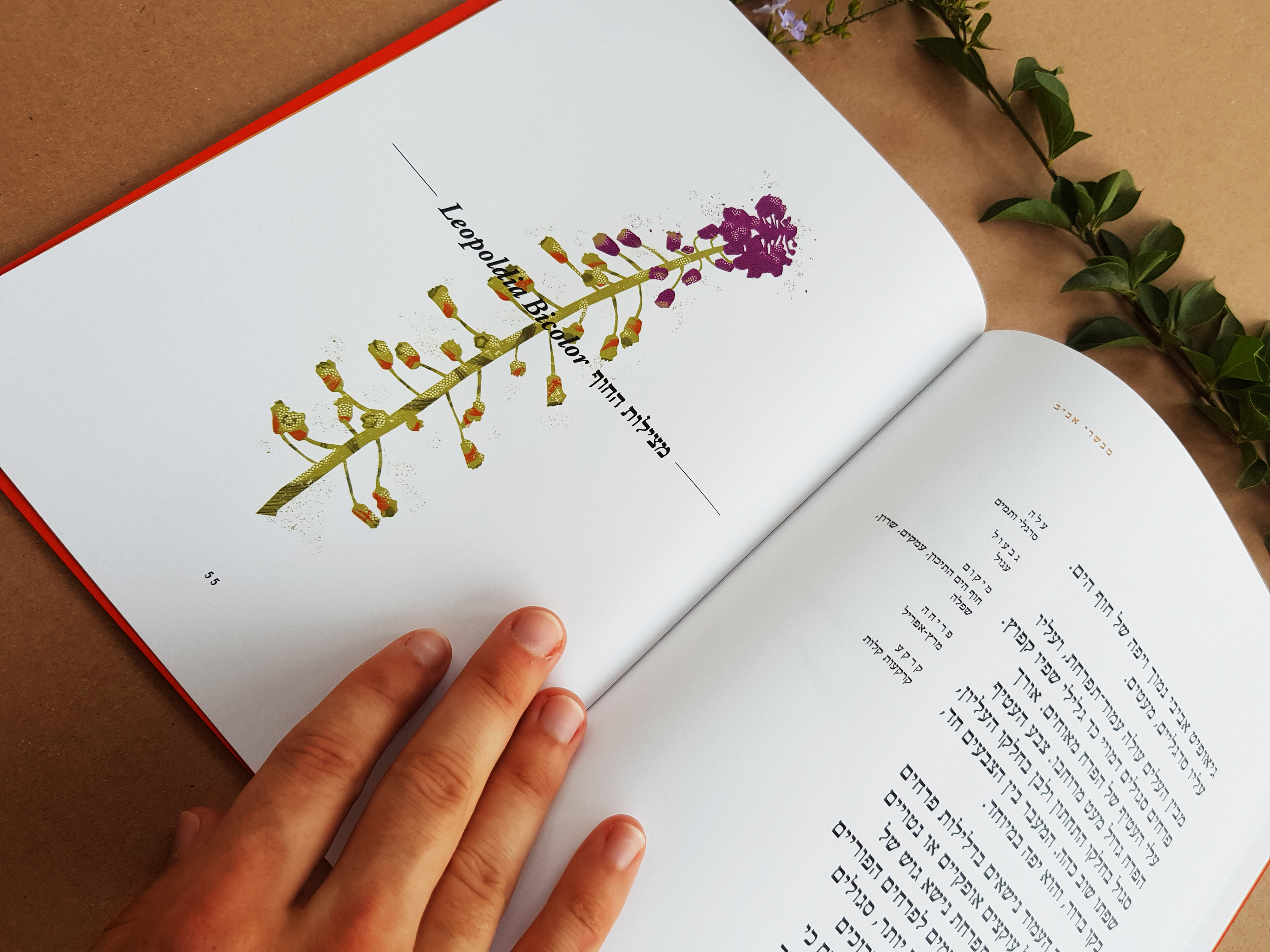 Flower Index, Typography course