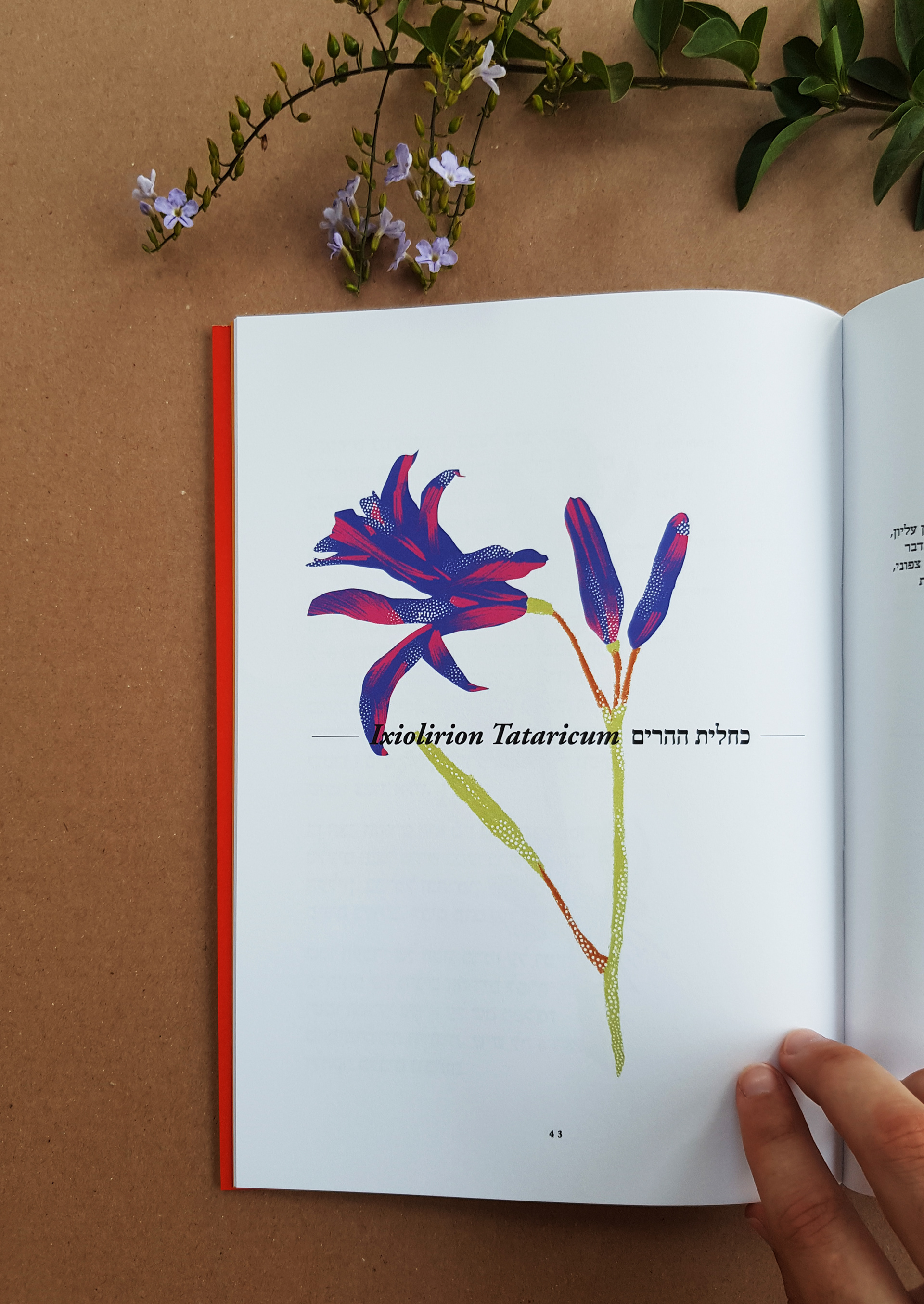 Flower Index, Typography course