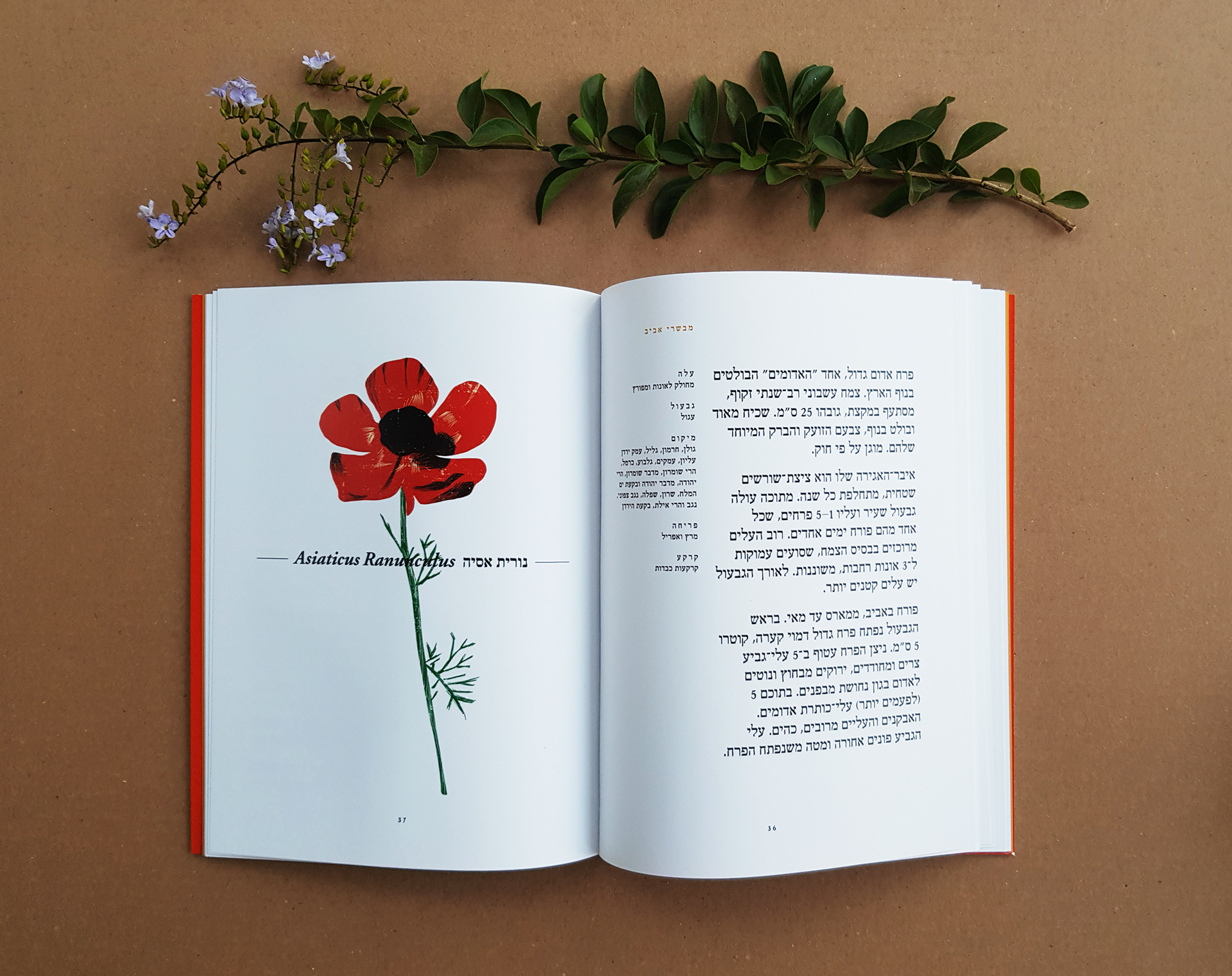 Flower Index, Typography course