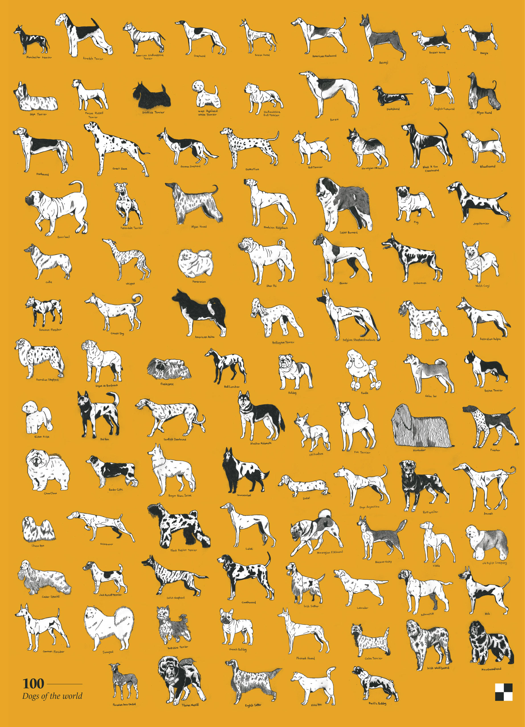 100 dogs - Mixed Media