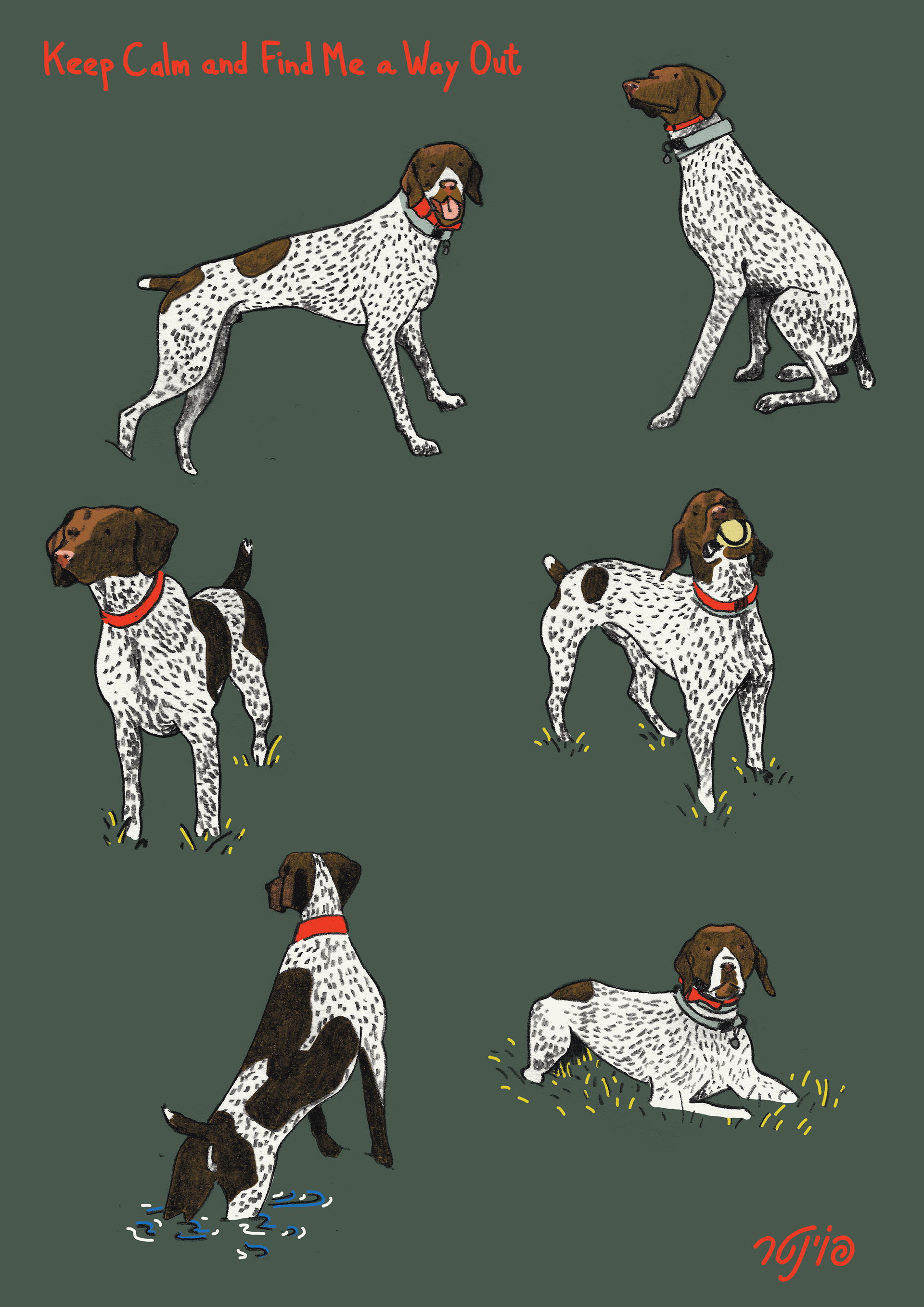 Pointer Poster - Mixed Media