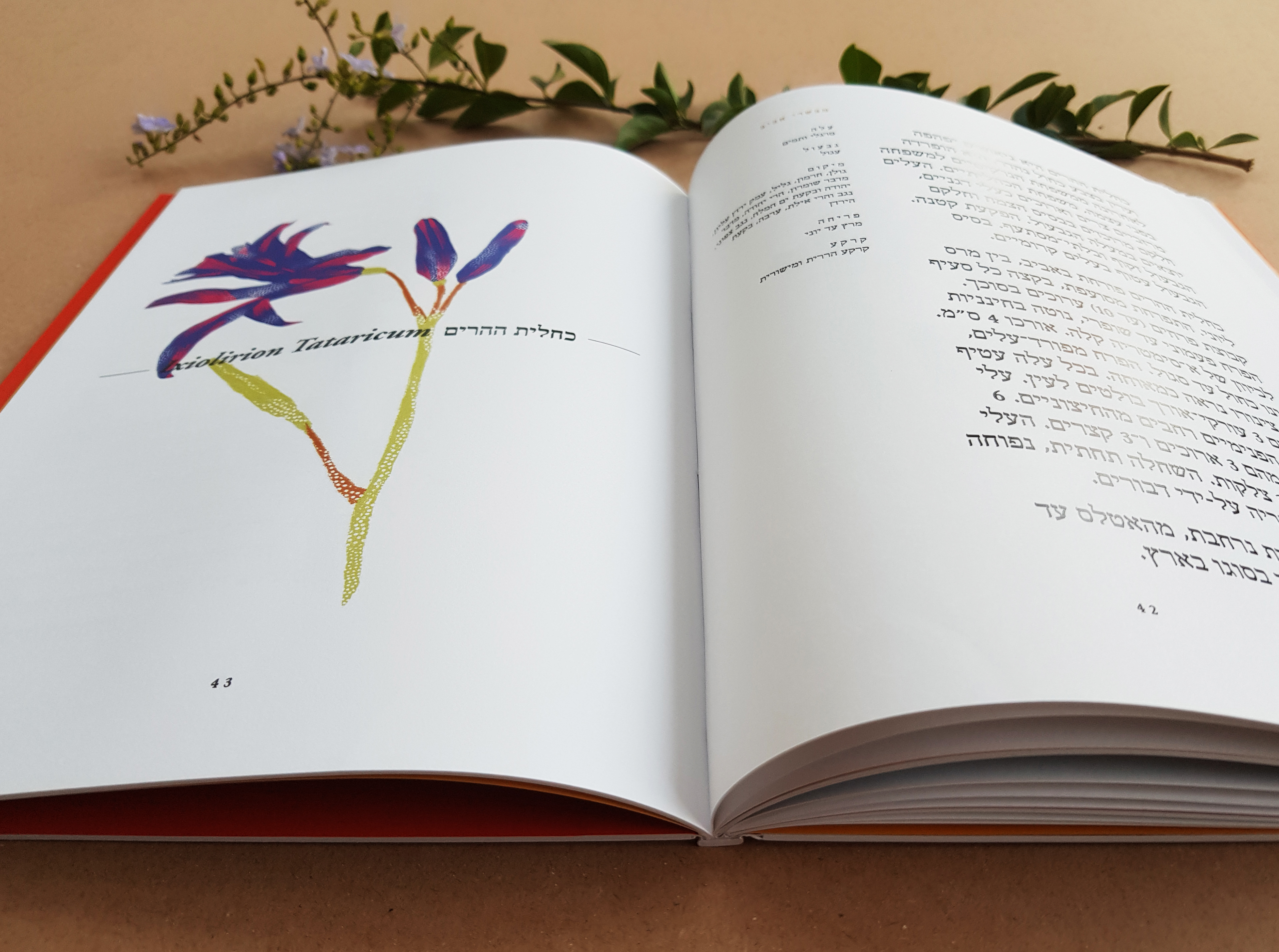 Flower Index, Typography course