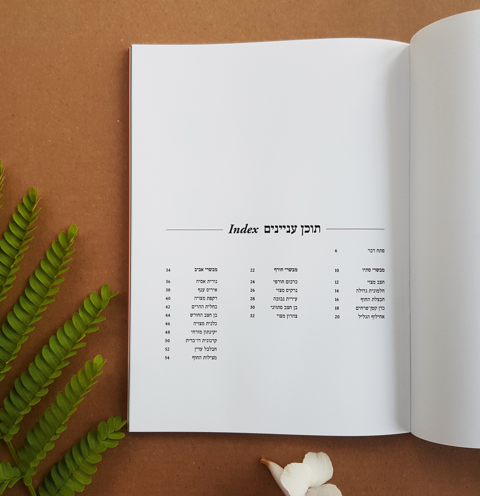 Flower Index, Typography course