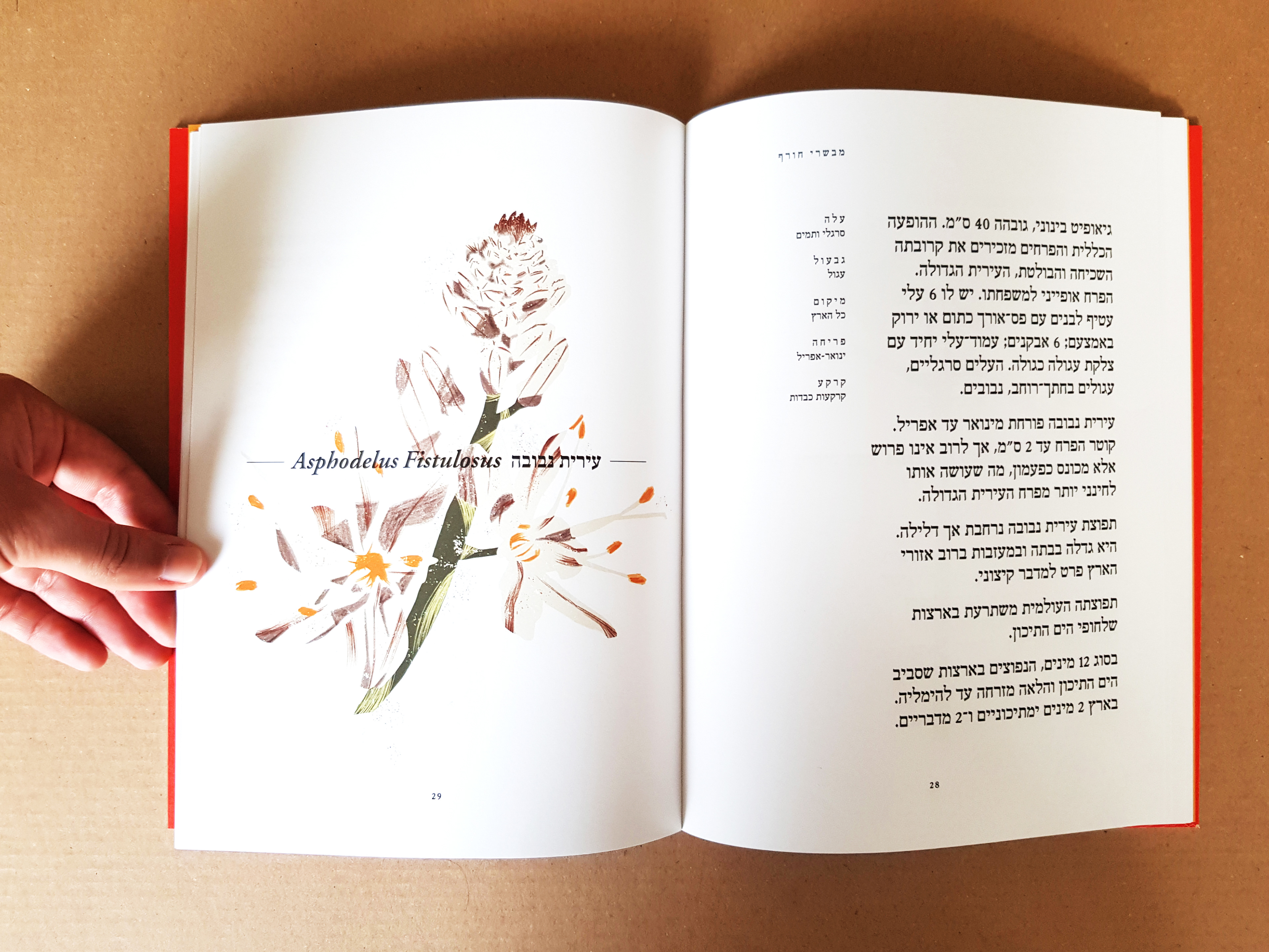 Flower Index, Typography course