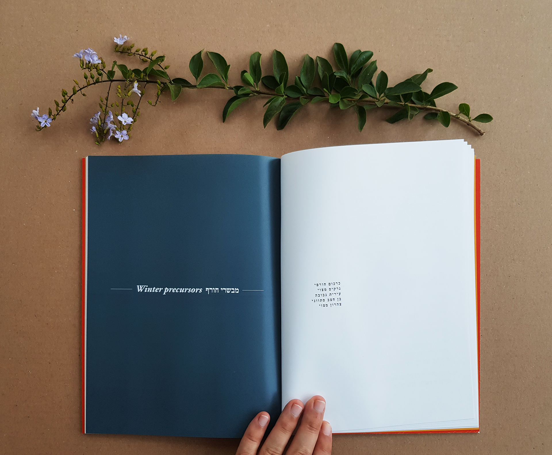 Flower Index, Typography course